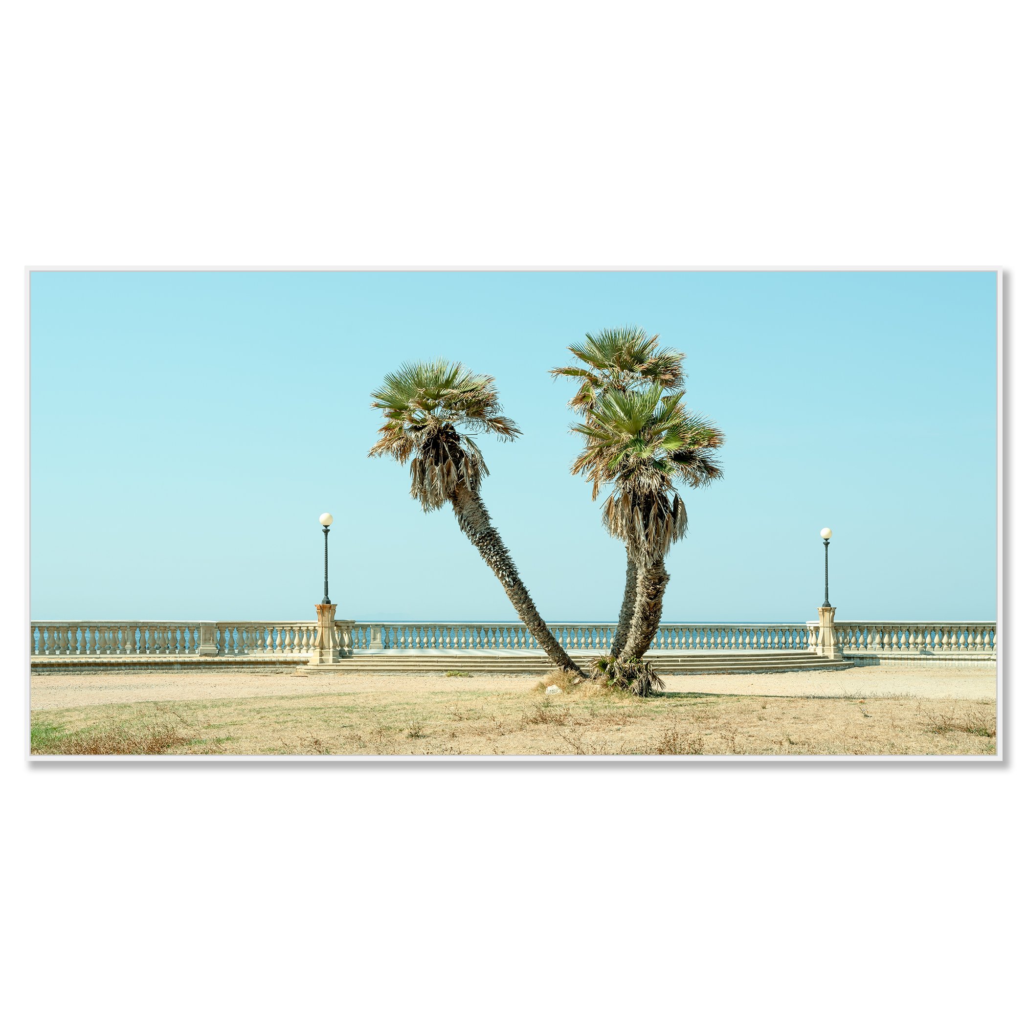 Twin Palms by the Sea – Tuscany, colour photo print in a white aluminium ArtBox, photo by Gerald Berghammer.