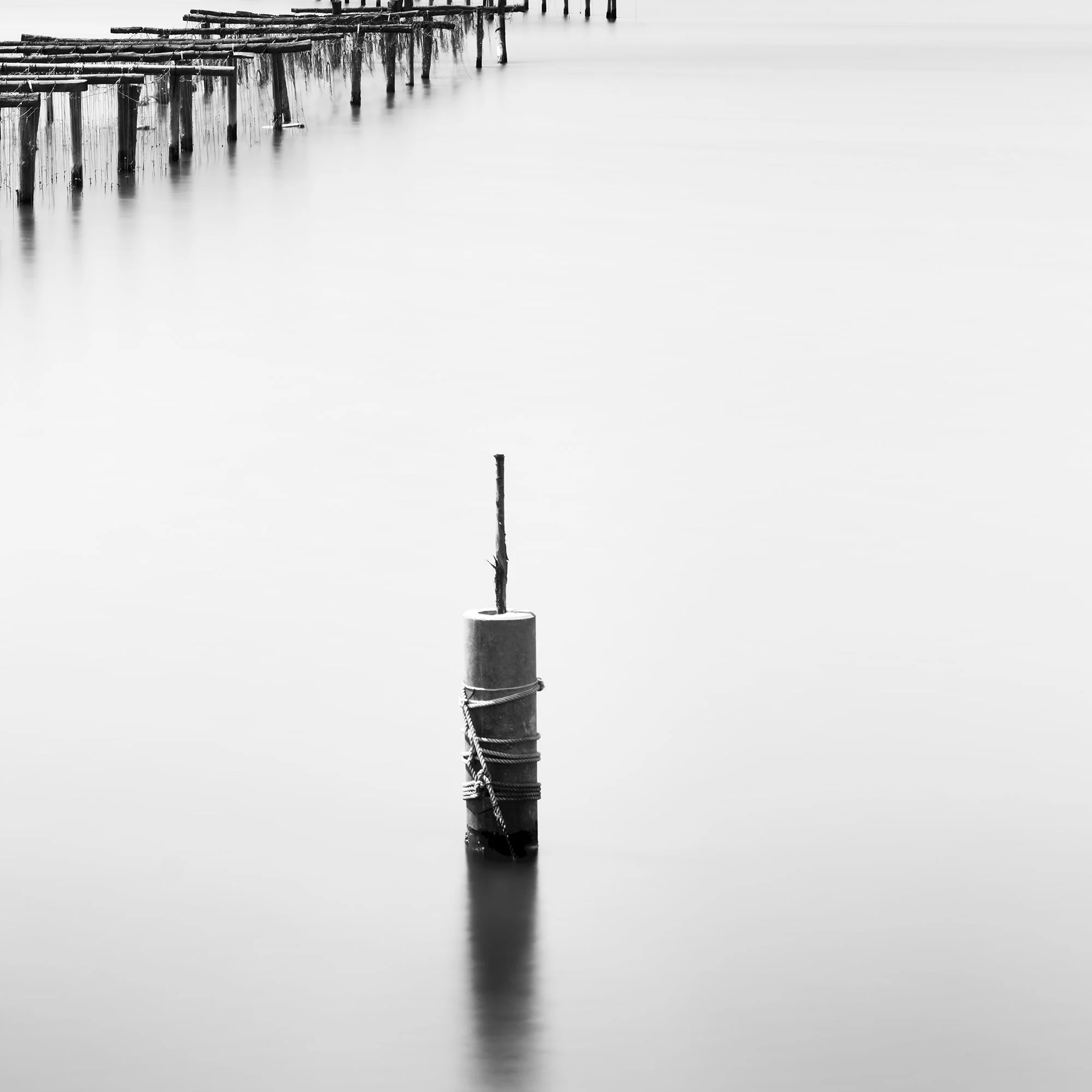 Detail of Aquaculture Structures Study 4 showing a solitary post in smooth long-exposure water in Italy by Gerald Berghammer.