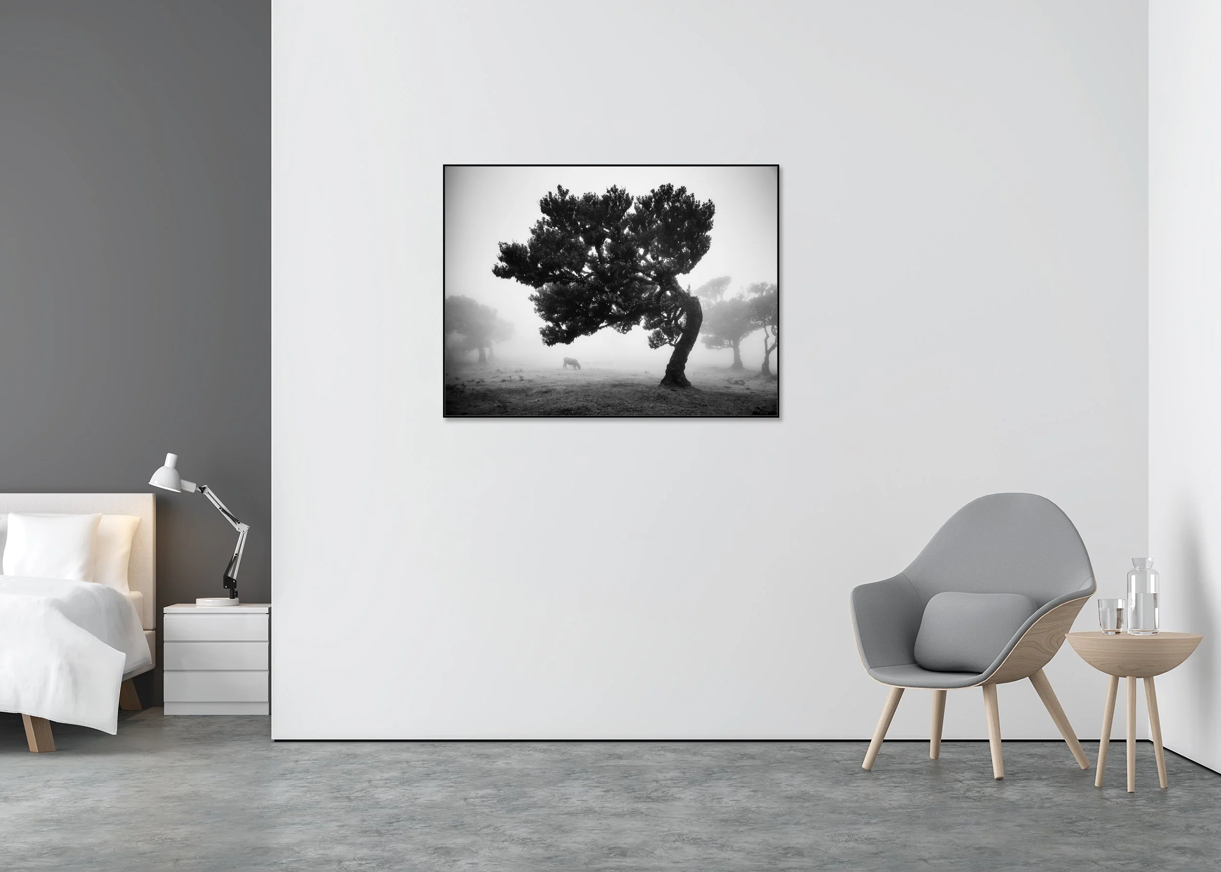 Black-and-white photo print of cows in foggy Fanal pasture with lone tree, Madeira, Portugal, mounted to Dibond in an aluminium ArtBox.