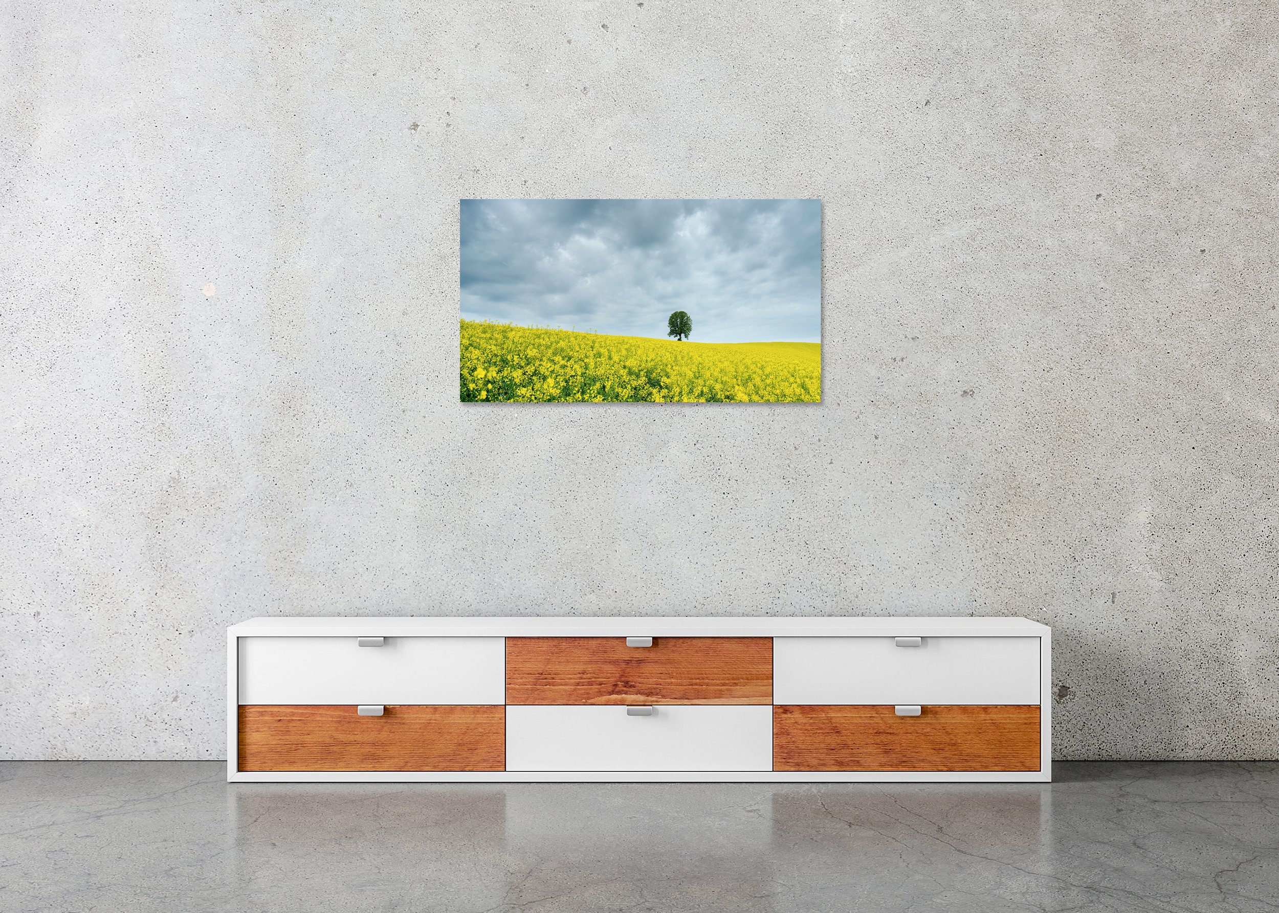 Tree in a Yellow Rapeseed Field displayed in a modern interior as a frameless colour artwork mounted on aluminium Dibond by Gerald Berghammer.