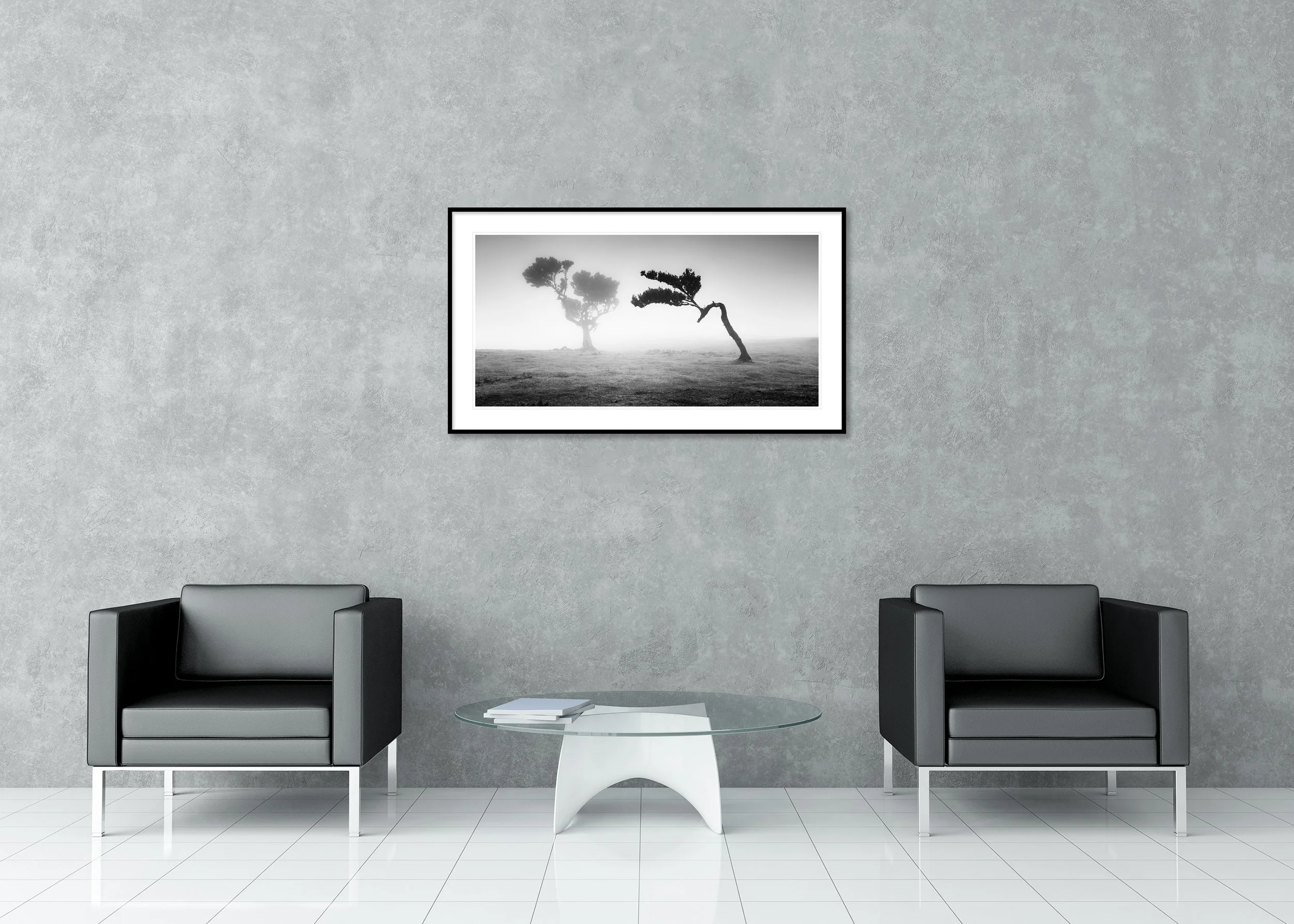 Two Trees in the Mist Panorama by Gerald Berghammer displayed in a contemporary interior in a black aluminium frame with a white mount.