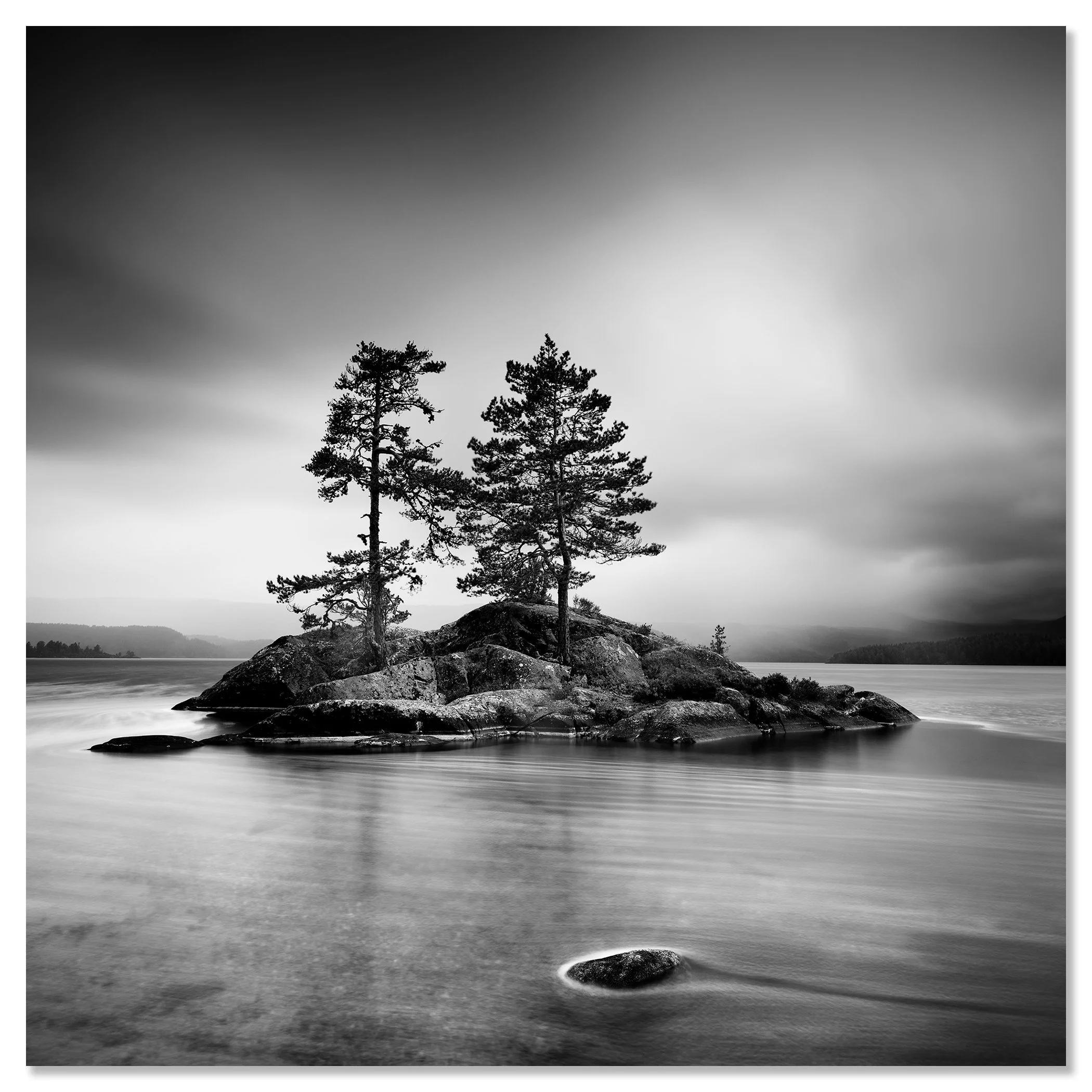 Black and white nature photograph of a rocky lake island with two pine trees and dramatic overcast skies – dibond frameless