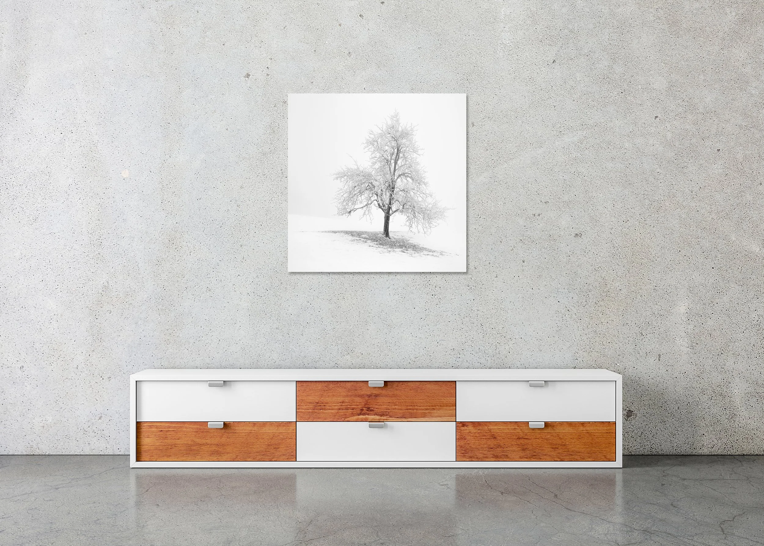 Frosted Winter Tree – Austria displayed above a low cabinet as a frameless black-and-white aluminium Dibond print by Gerald Berghammer.
