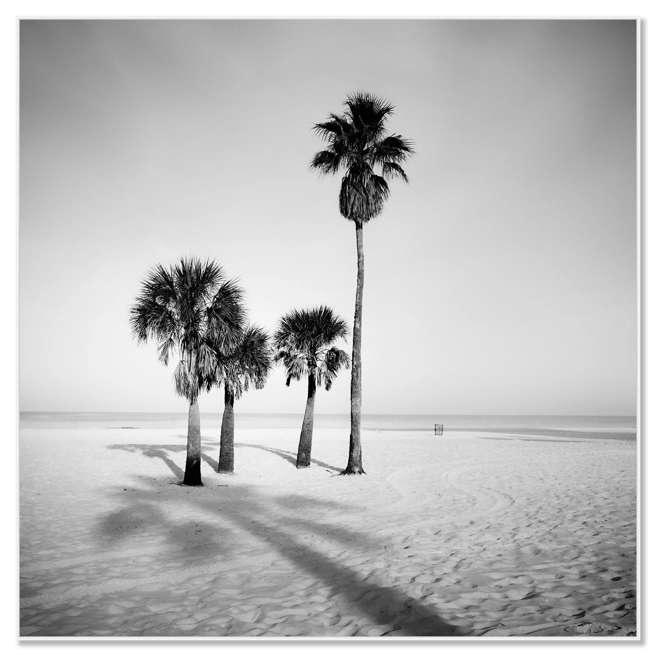 Black and white photo of five palm trees on a quiet sandy beach with long shadows – framed ArtBox white