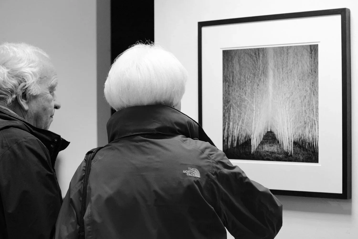 Two visitors examining a framed black-and-white photograph of a symmetrical avenue of trees by Gerald Berghammer at ESSENTIAL LIGHT 2018, Galerie STP.