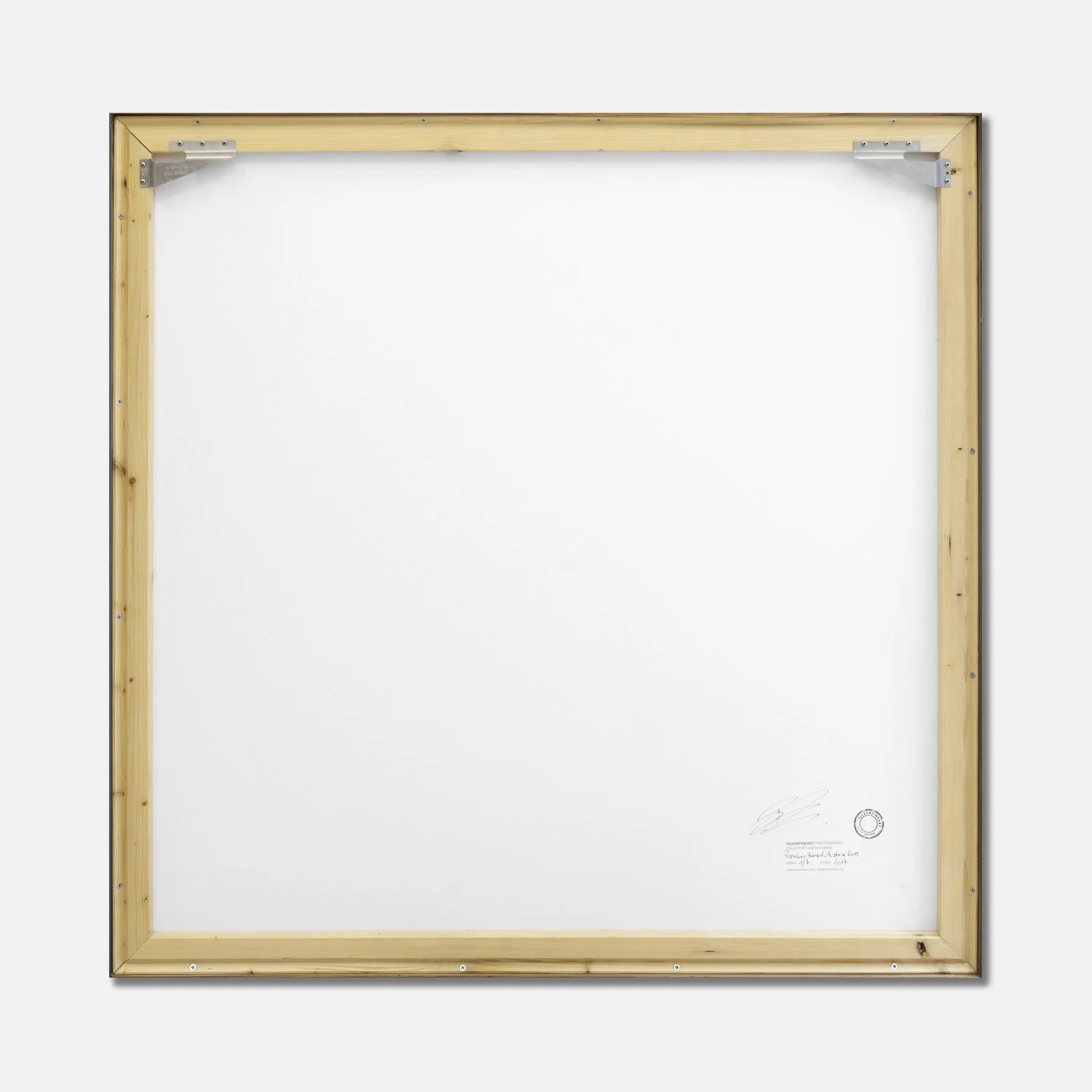 Populus Forest by Gerald Berghammer – reverse of the original exhibited photograph in its handmade natural wood frame.