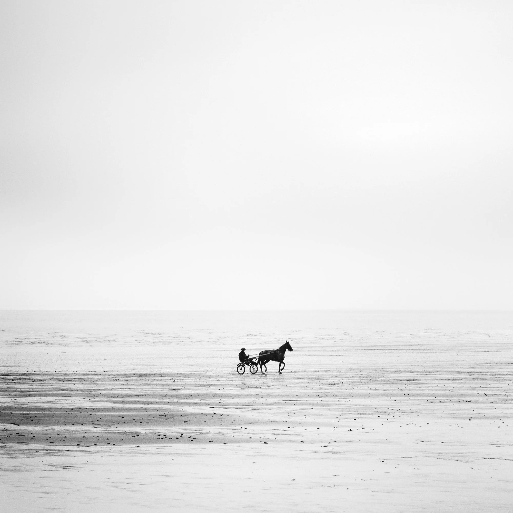 Detail view of Harness Racing Horse on Empty Beach by Gerald Berghammer, showing the horse and driver on the French shoreline.