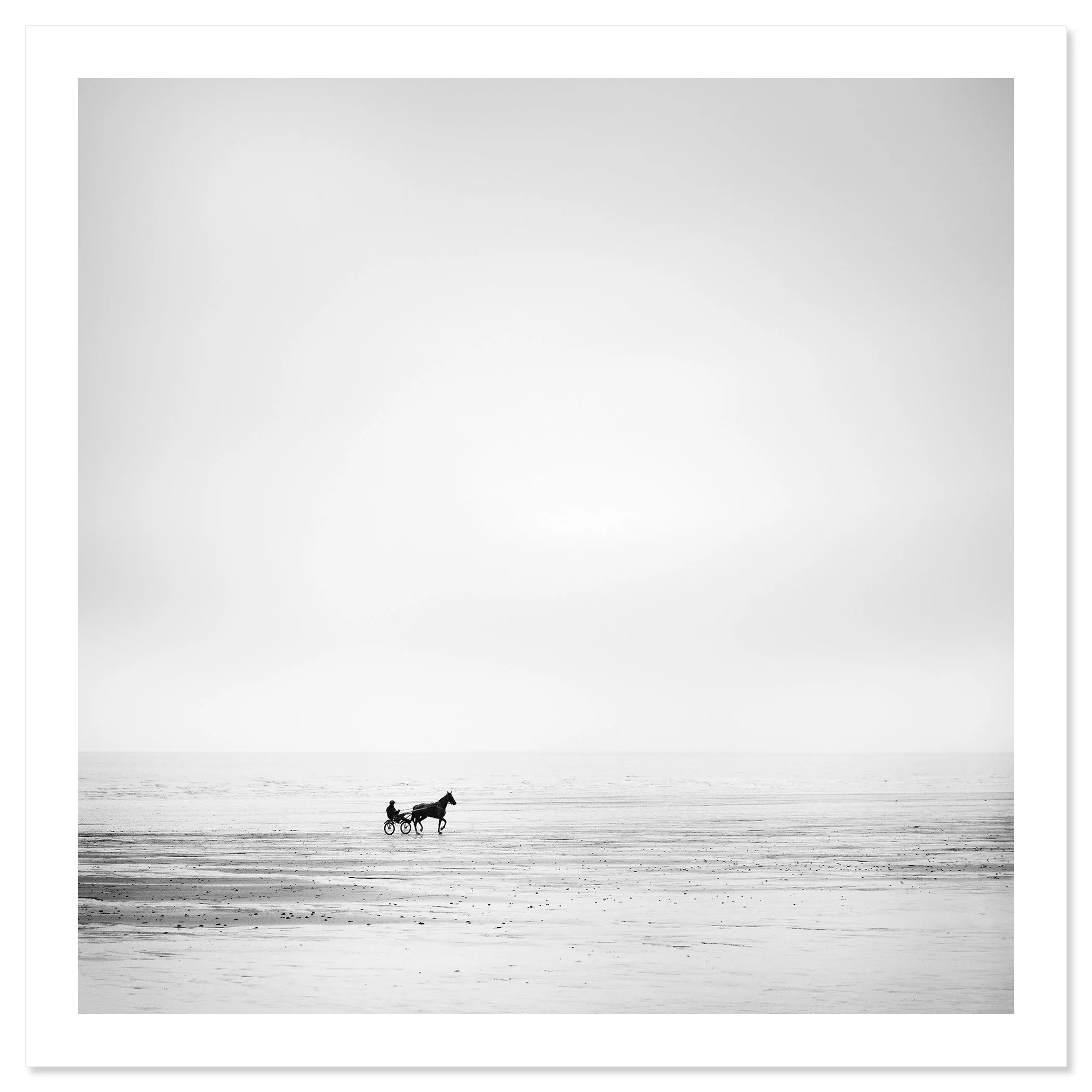 Harness Racing Horse on Empty Beach by Gerald Berghammer shown as a fine art print with white border.