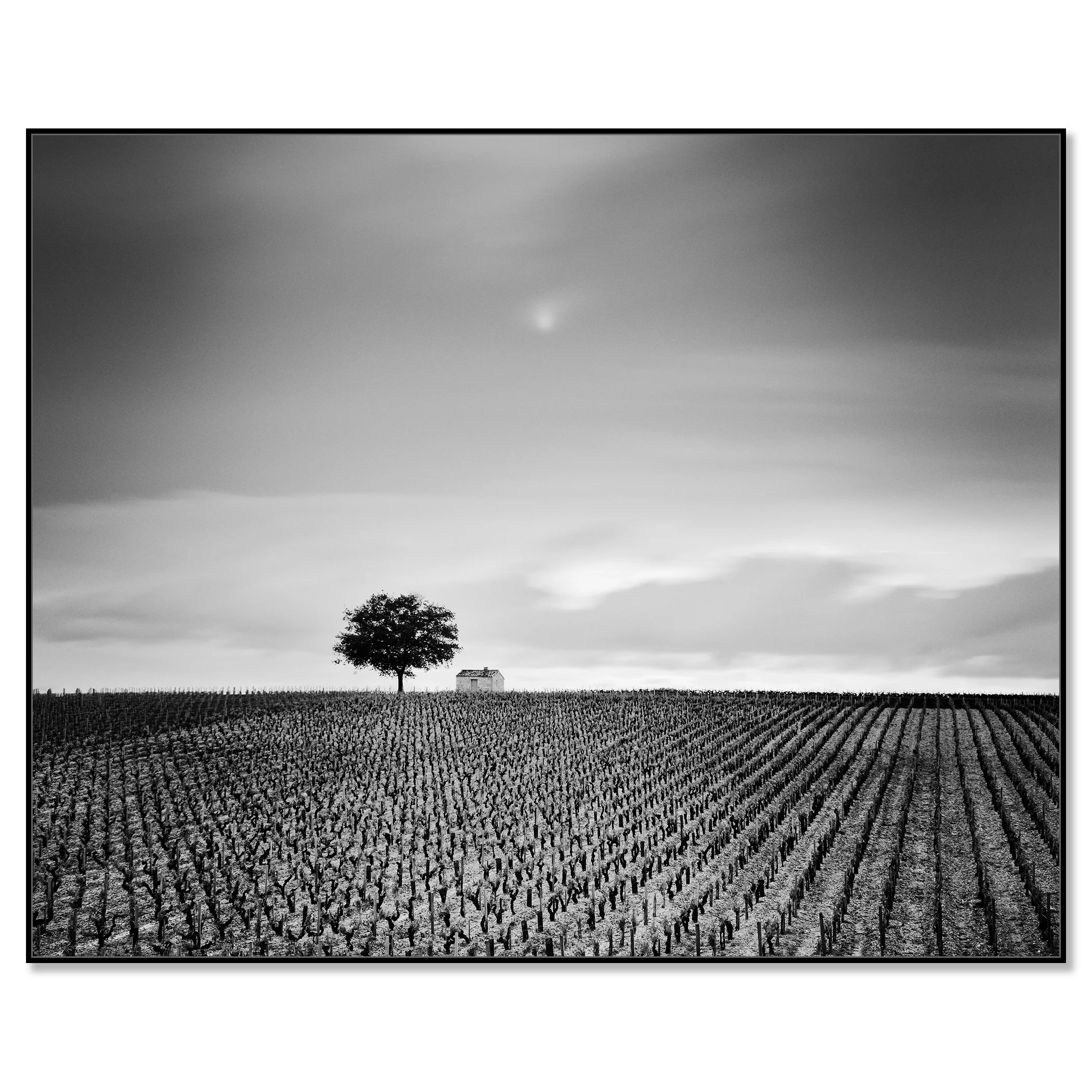 Champagne Paradise Study 2 in black aluminium ArtBox frame by Gerald Berghammer