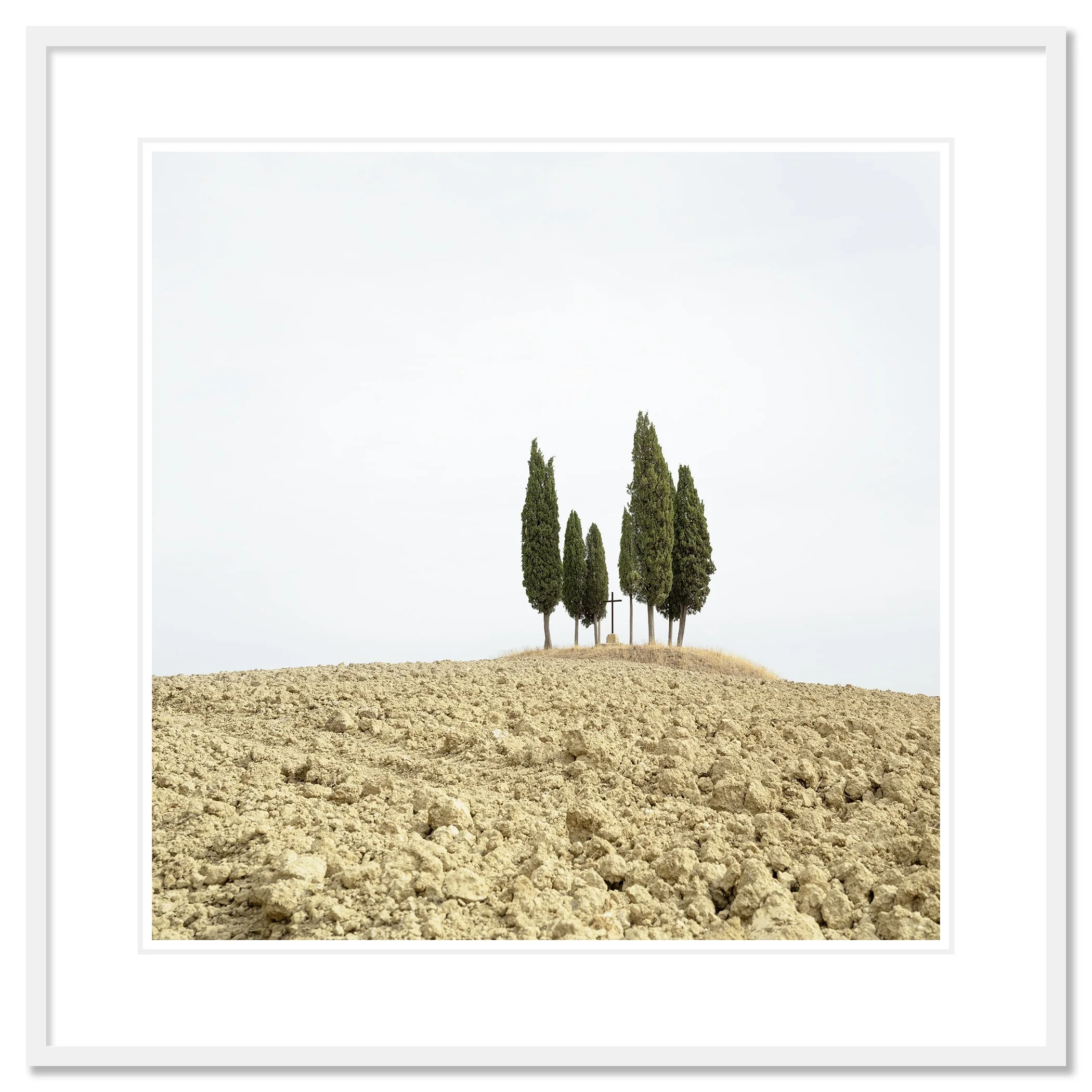 Gerald Berghammer - Color minimalist landscape photography. A small group of tall, slender cypress trees on a dry, barren hilltop against a cloudy sky. Classic framed white