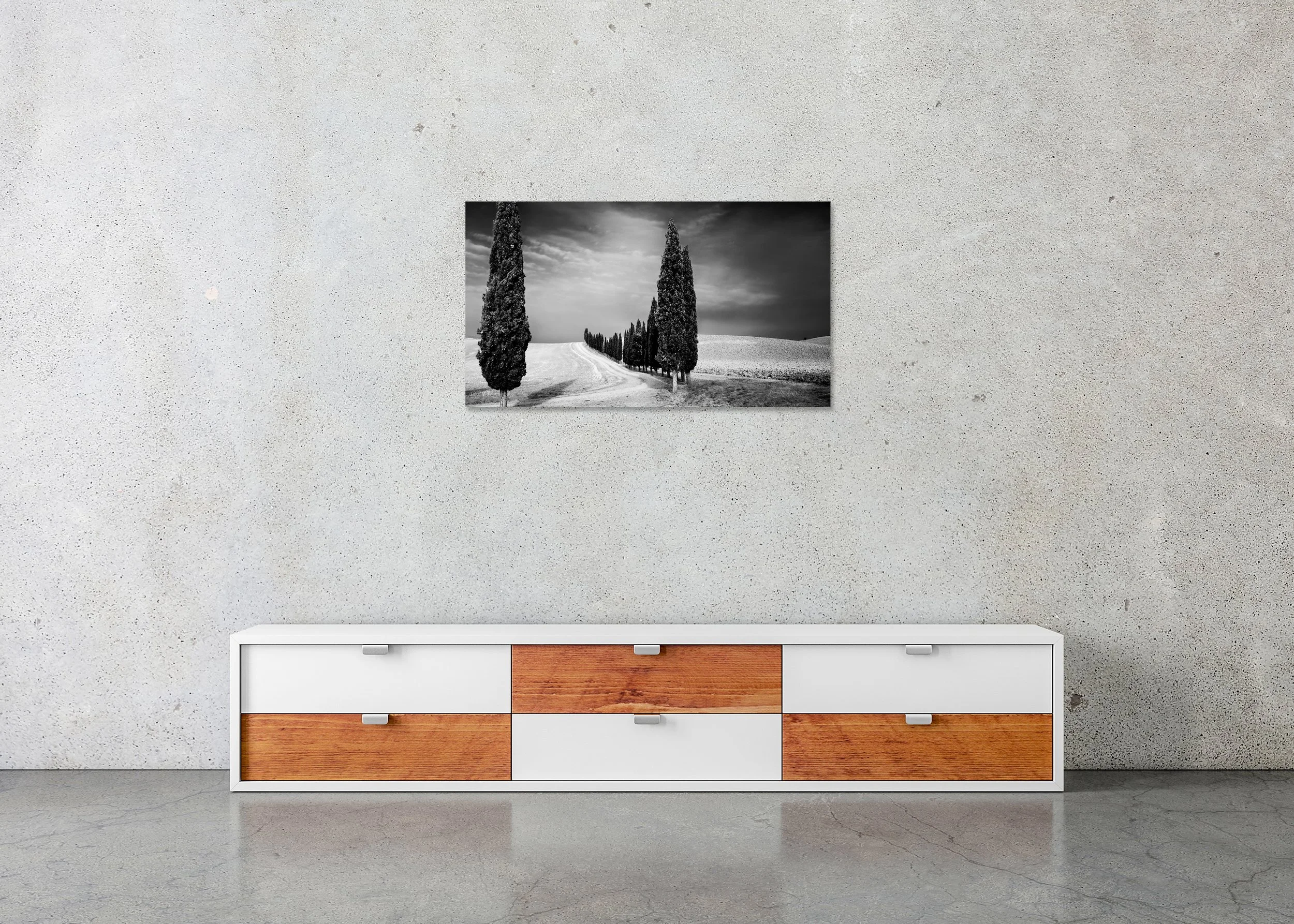 Cypress Tree Avenue Panorama Study 2 displayed in a modern interior as a frameless black-and-white artwork mounted on aluminium Dibond. Photo by Gerald Berghammer.