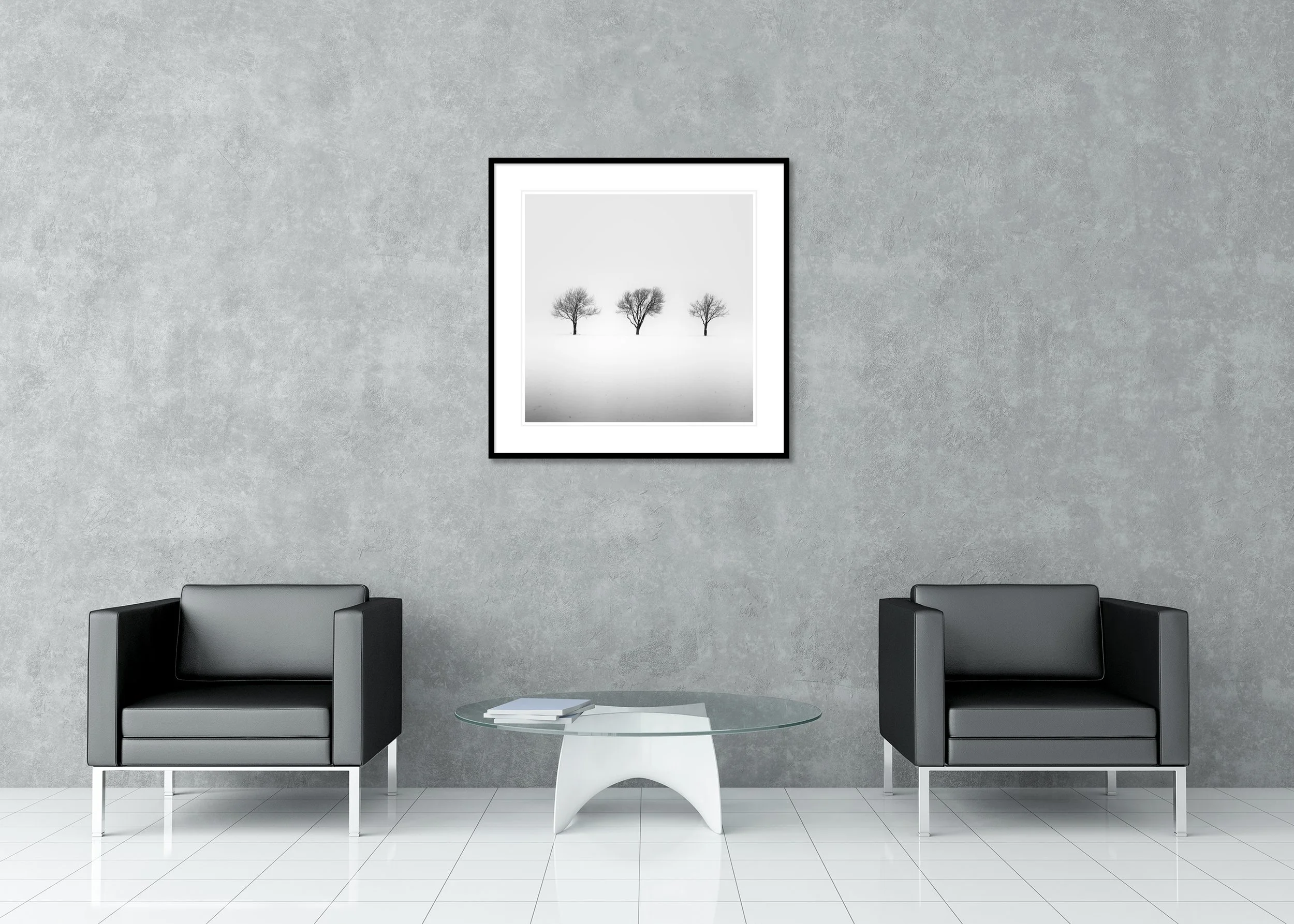 Three Trees in a Snowy Field, Study 2 displayed as an archival pigment print in a black aluminium frame with a white mount by Gerald Berghammer.