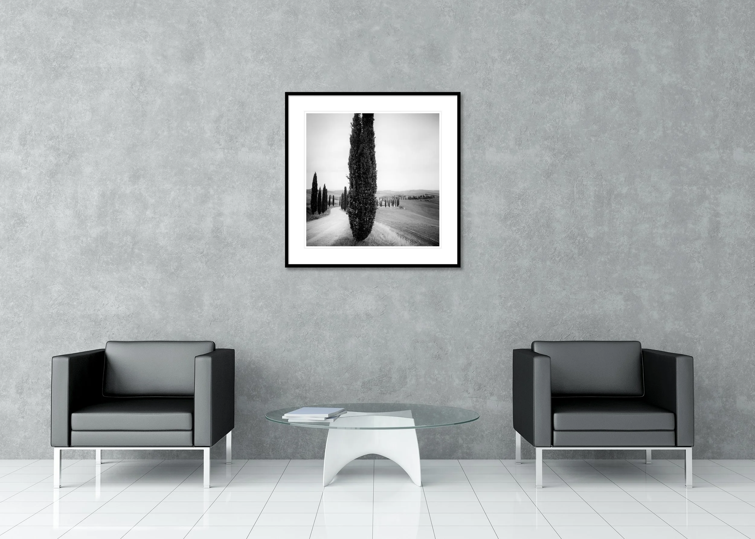 Cypress Trees Study 2 displayed in a modern interior as an archival pigment print in a black aluminium frame with white mount by Gerald Berghammer.