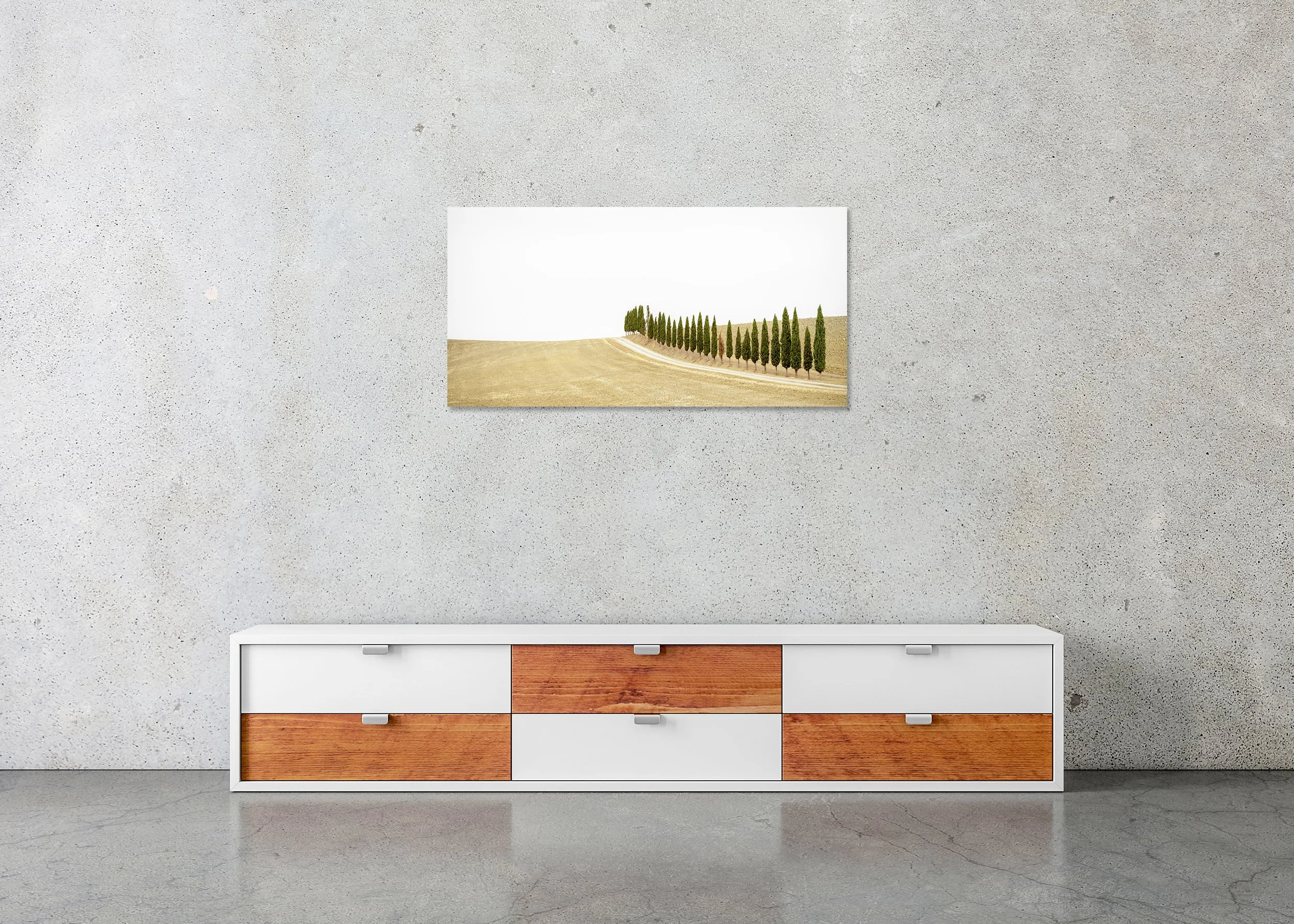 Row of Cypress Trees, Panorama – frameless colour photograph on aluminium Dibond displayed above a low cabinet.