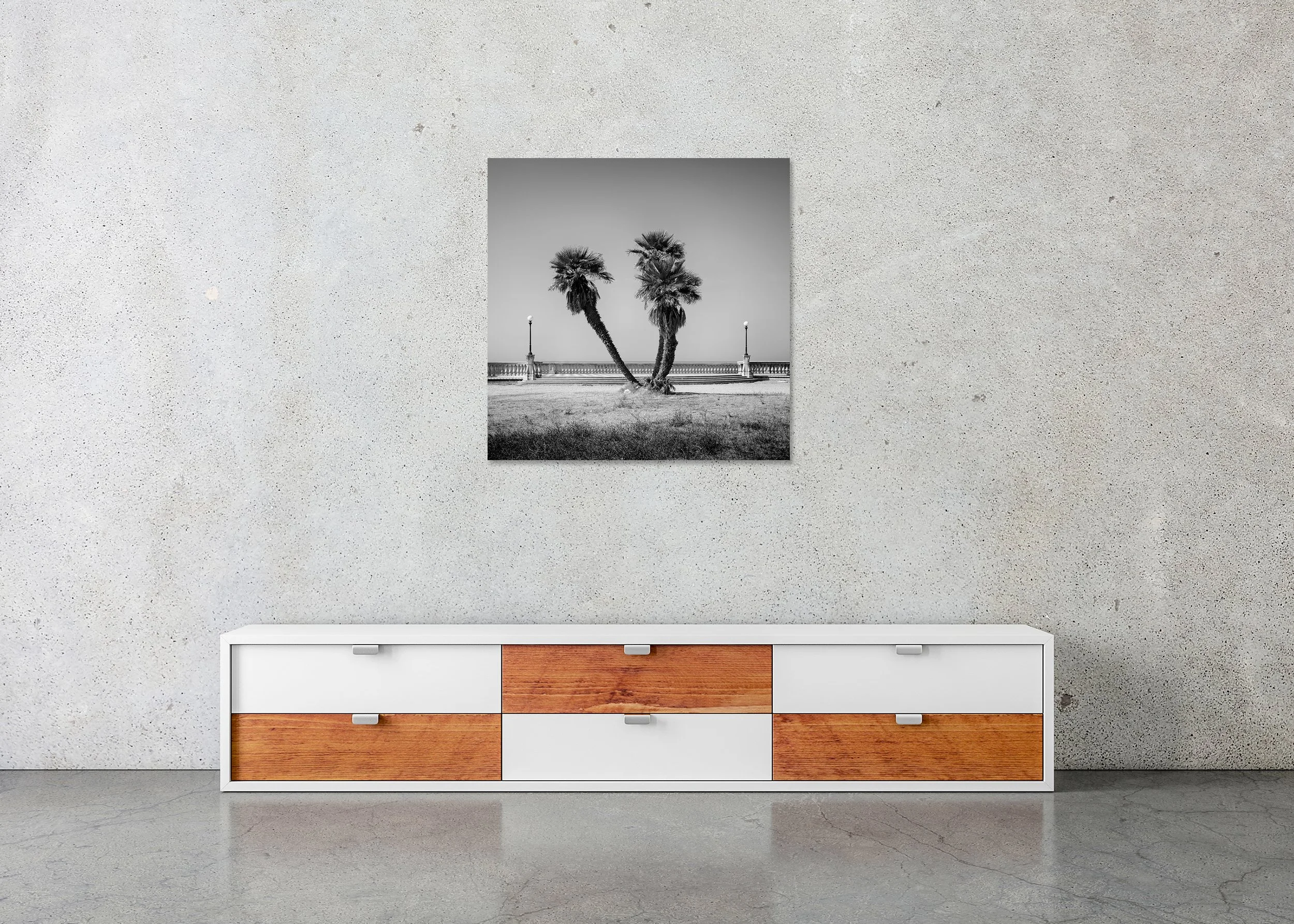 Terrazza Mascagni promenade in Livorno, Tuscany, with palm trees along the seafront by the sea – photo print mounted on Dibond, frameless