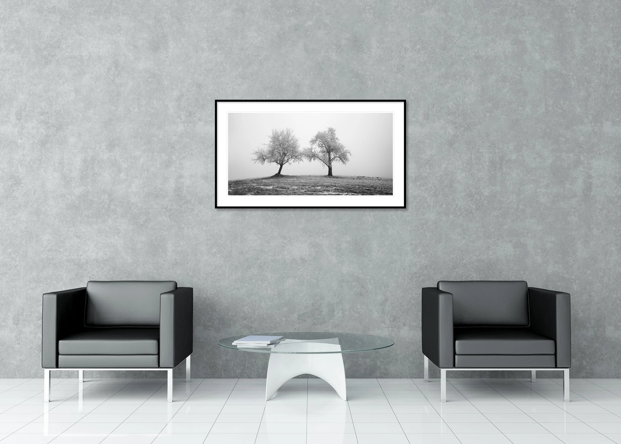 Frozen trees in a quiet winter field with misty sky, monochrome landscape archival pigment print in a classic frame with a mount
