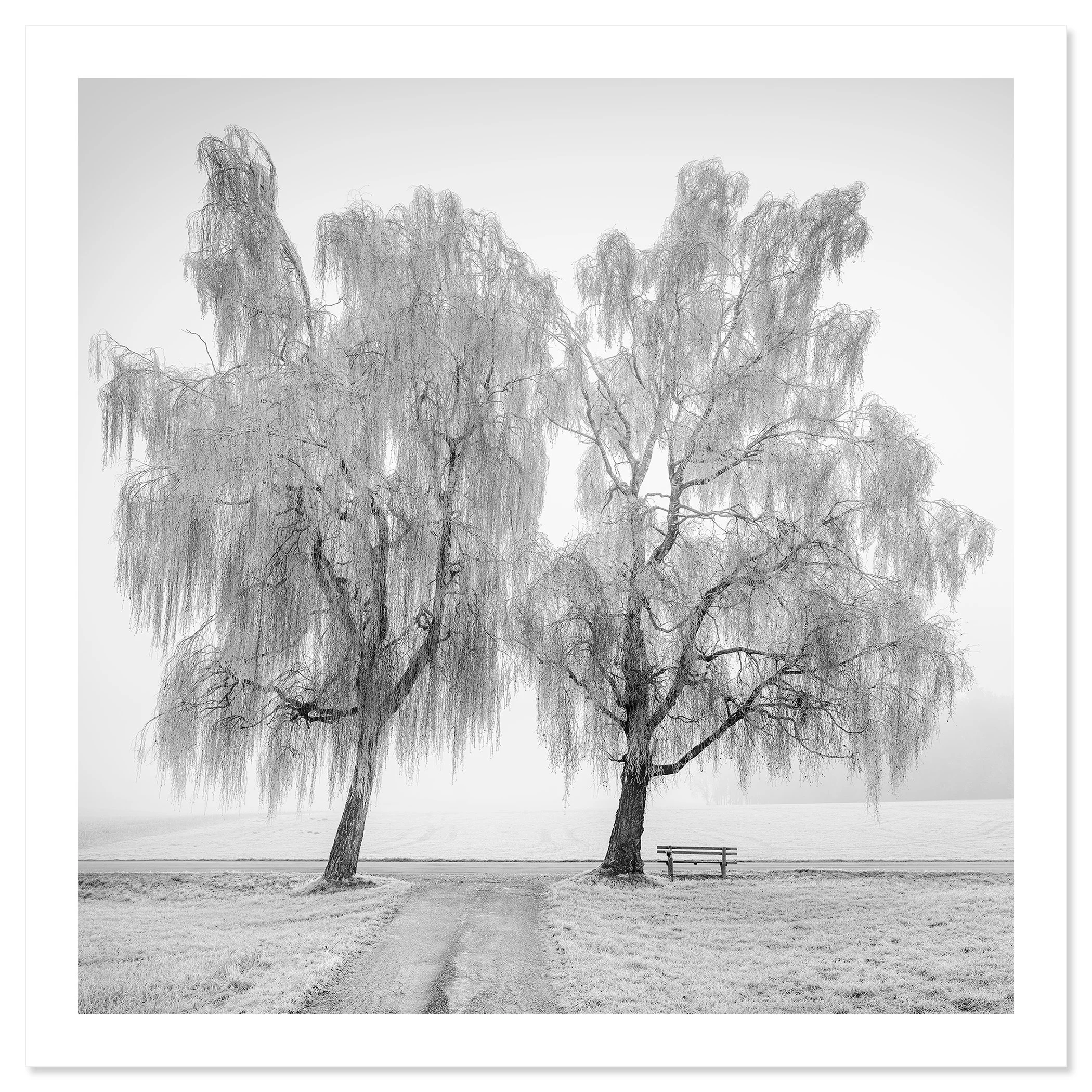 Place to Linger, Winter Study 1 as an archival pigment fine art print with white border by Gerald Berghammer.