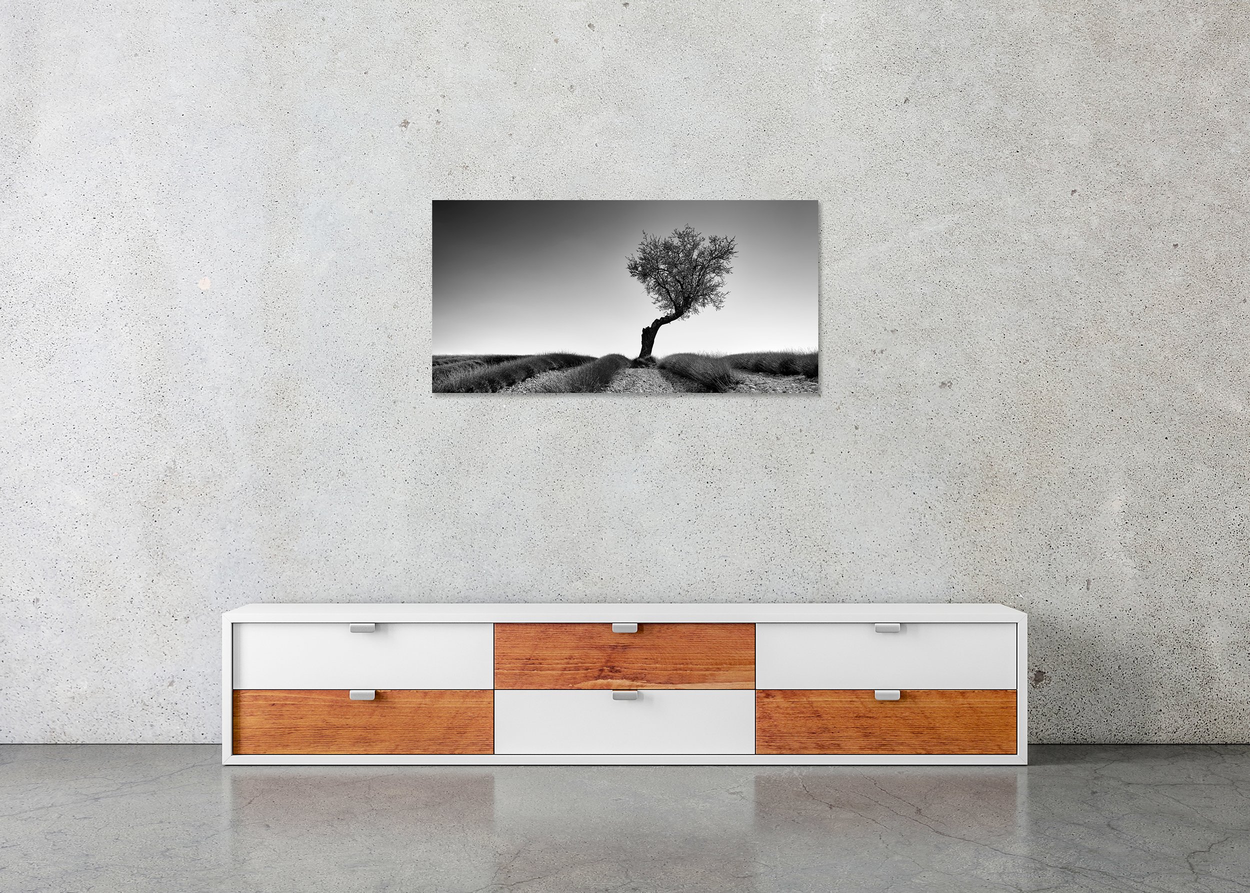 Lavender Field with Tree Panorama Study 1 displayed in a modern interior as a frameless black-and-white aluminium Dibond print by Gerald Berghammer.