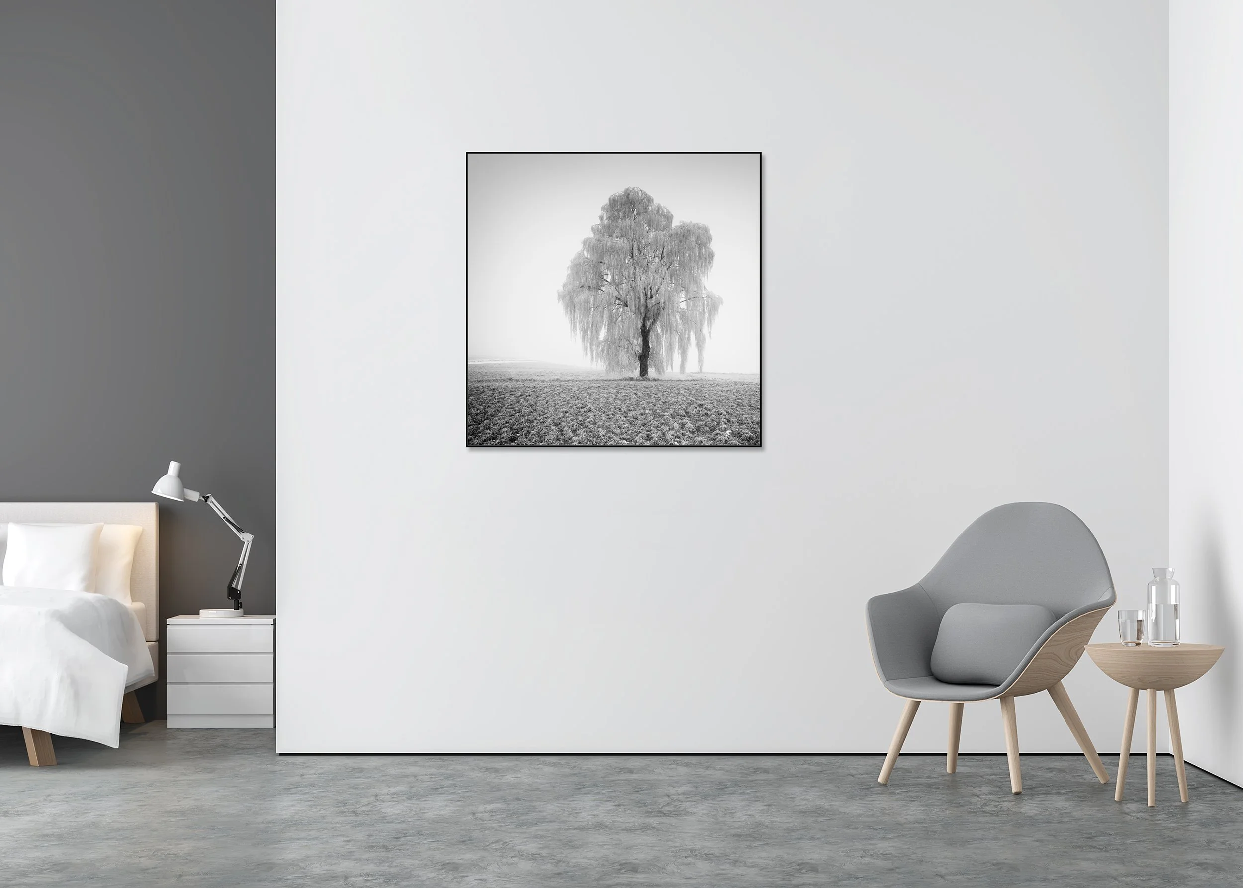 Frozen Willow Tree Study 1 displayed in a modern interior, mounted on aluminium Dibond in a black ArtBox frame by Gerald Berghammer.