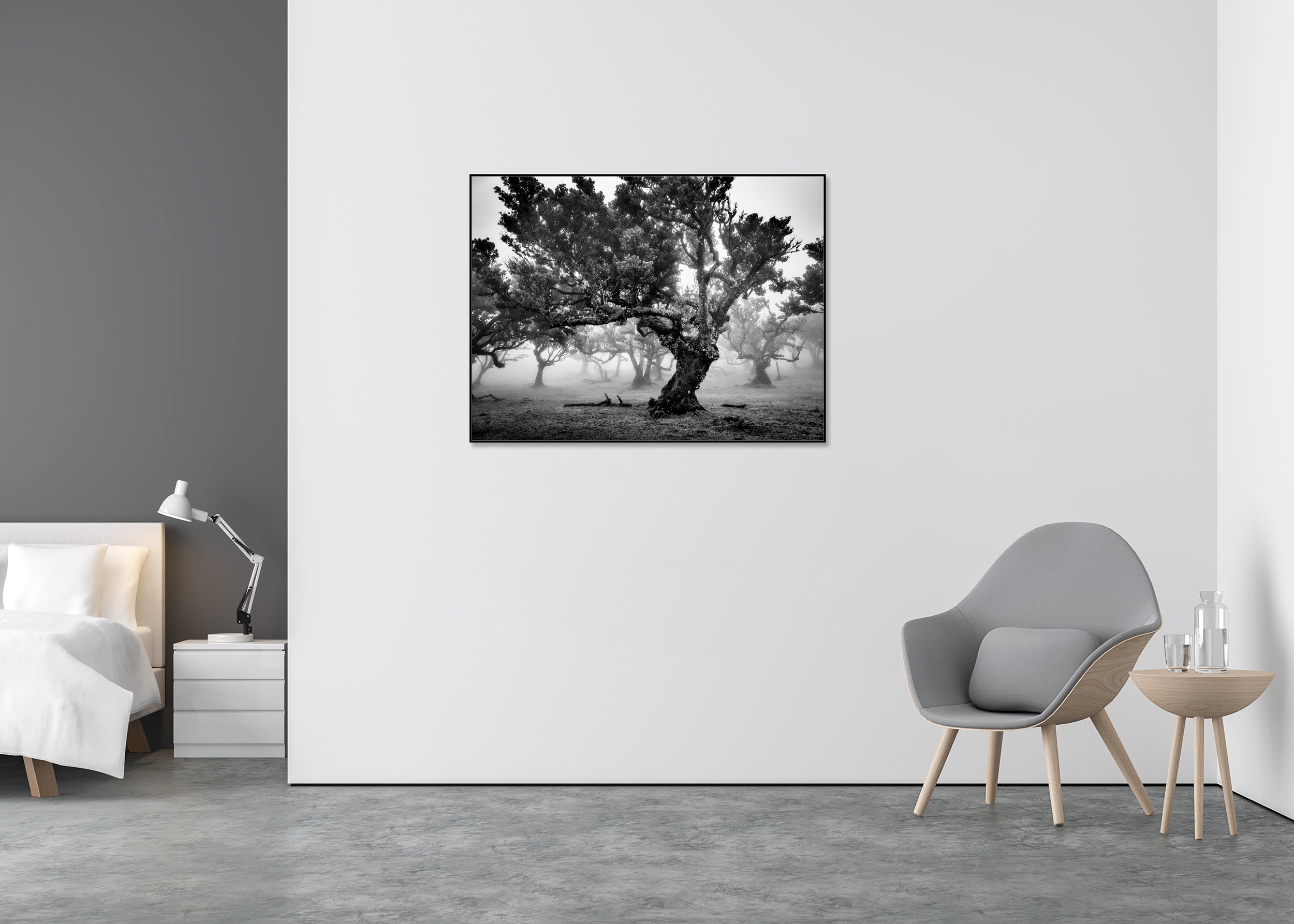 Fine art black and white photo print of twisted trees in mist, mounted on Dibond in an aluminium ArtBox frame.