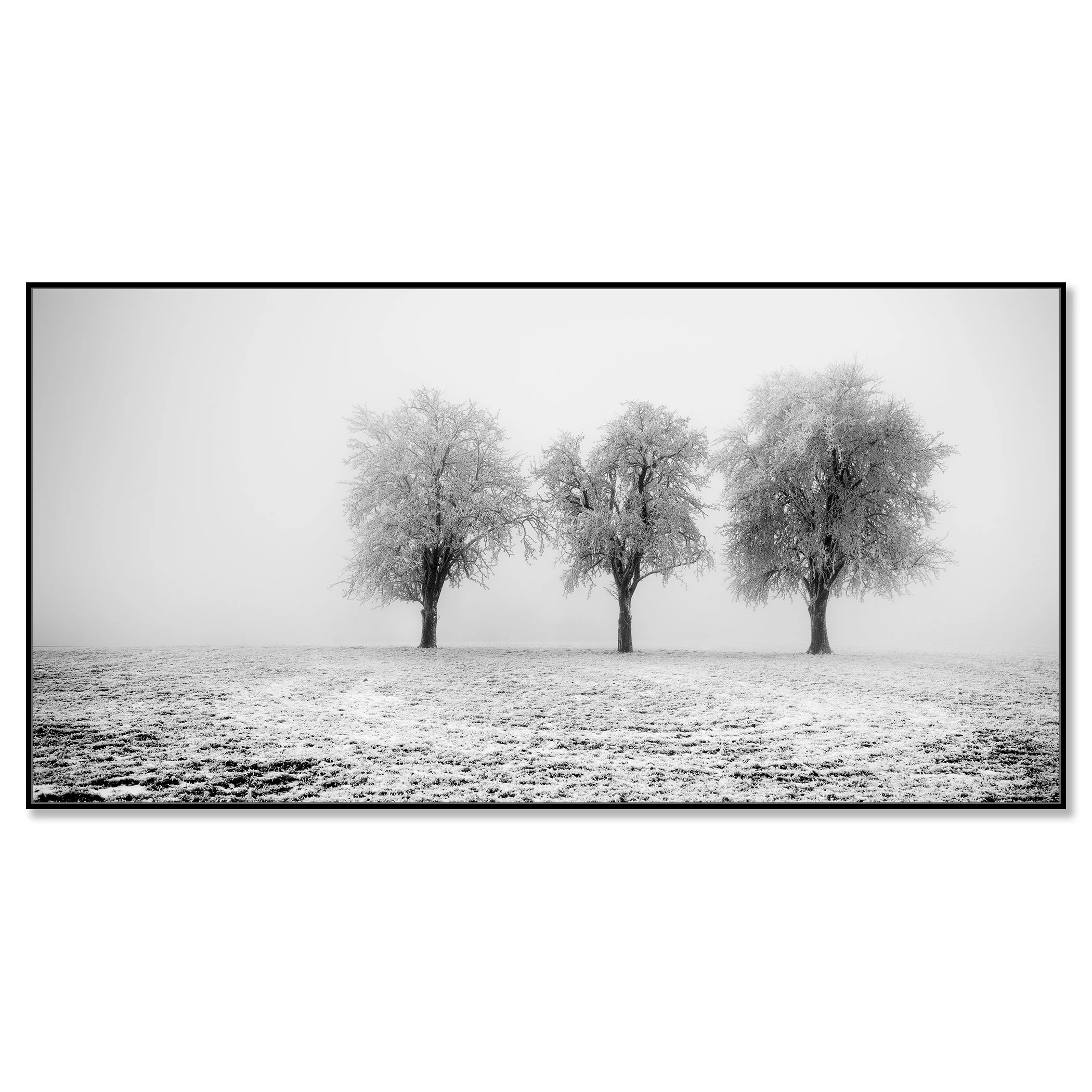Minimalist winter landscape with three frozen trees in a frosty field, captured in black and white – framed ArtBox black
