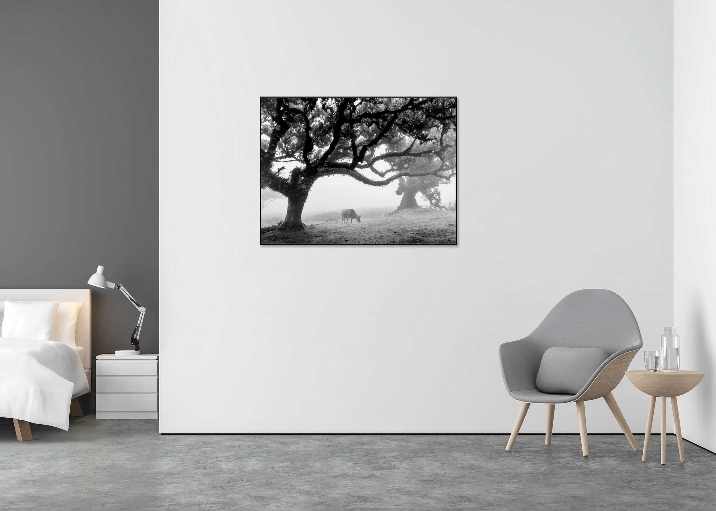 Cows in a Foggy Pasture Study 4 – Portugal, black-and-white fine art photo print mounted on Dibond in an aluminium ArtBox