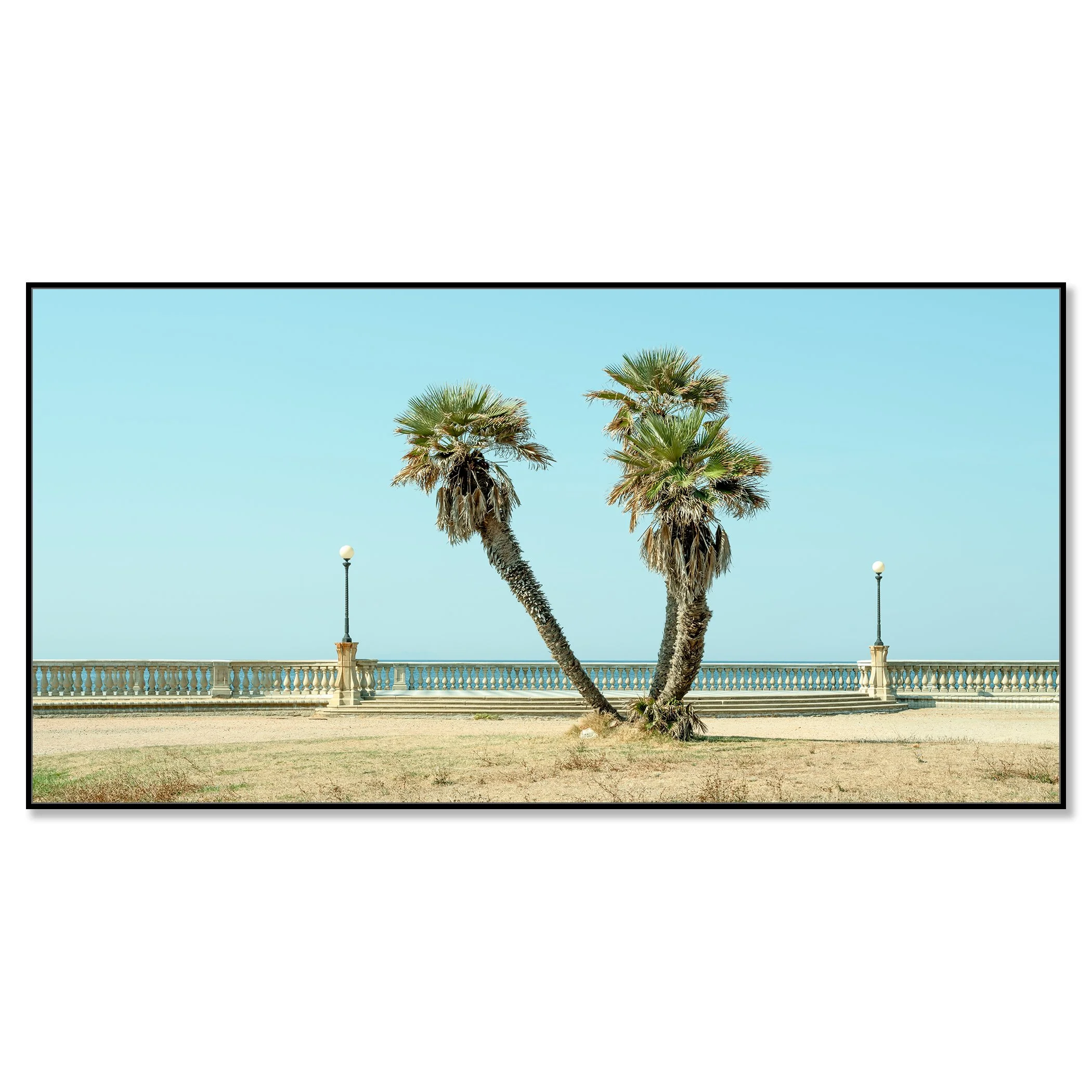 Twin Palms by the Sea – Tuscany, colour photo print in a black aluminium ArtBox, photo by Gerald Berghammer.