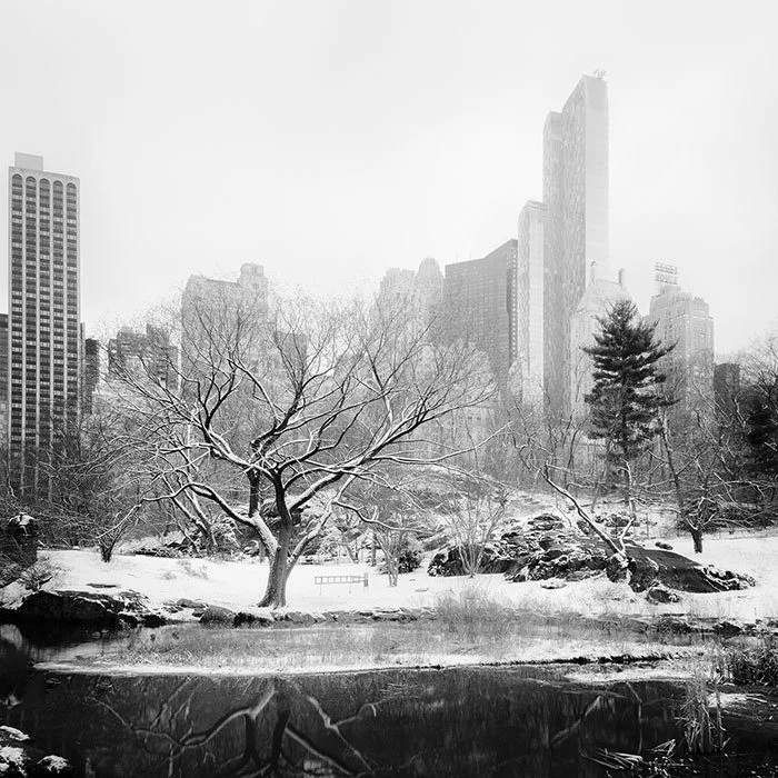 Snow-Covered Central Park Study 7 – New York City | Gerald Berghammer