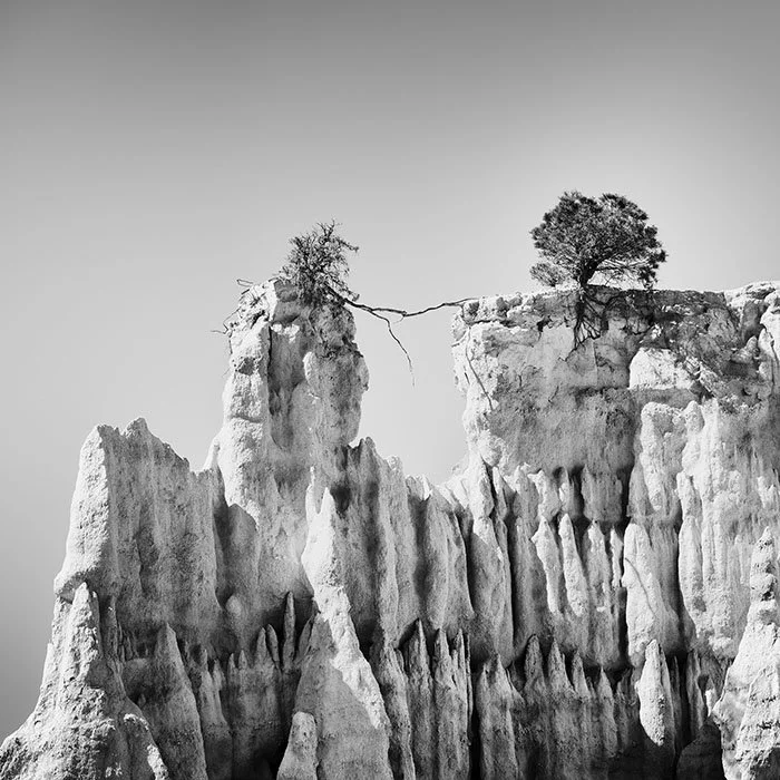 The Organs of Ille-sur-Tet Study 3 – France | Gerald Berghammer