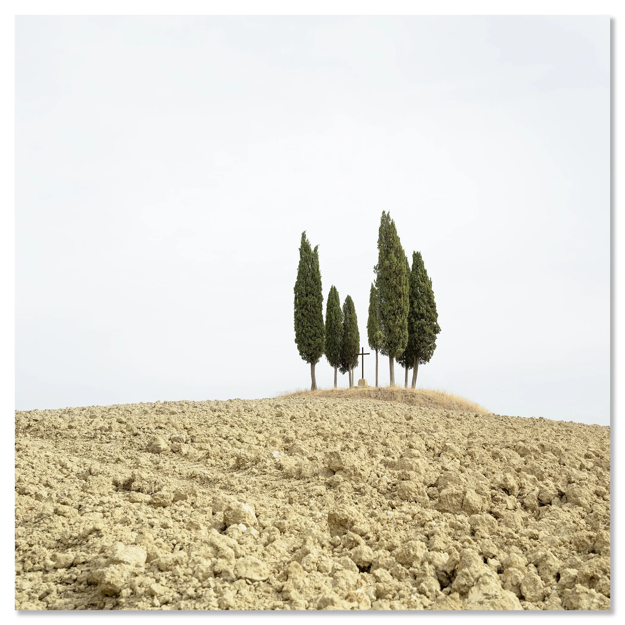 Gerald Berghammer - Color minimalist landscape photography. A small group of tall, slender cypress trees on a dry, barren hilltop against a cloudy sky. Chromaluxe frameless