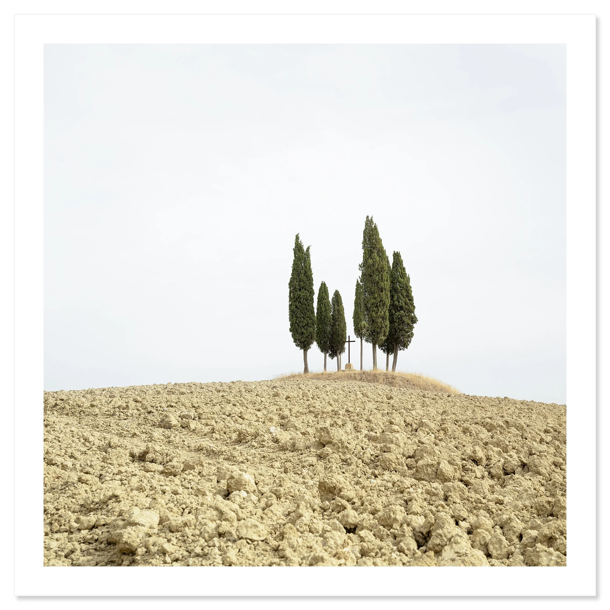 Gerald Berghammer - Color minimalist landscape photography. A small group of tall, slender cypress trees on a dry, barren hilltop against a cloudy sky. Fine art print only