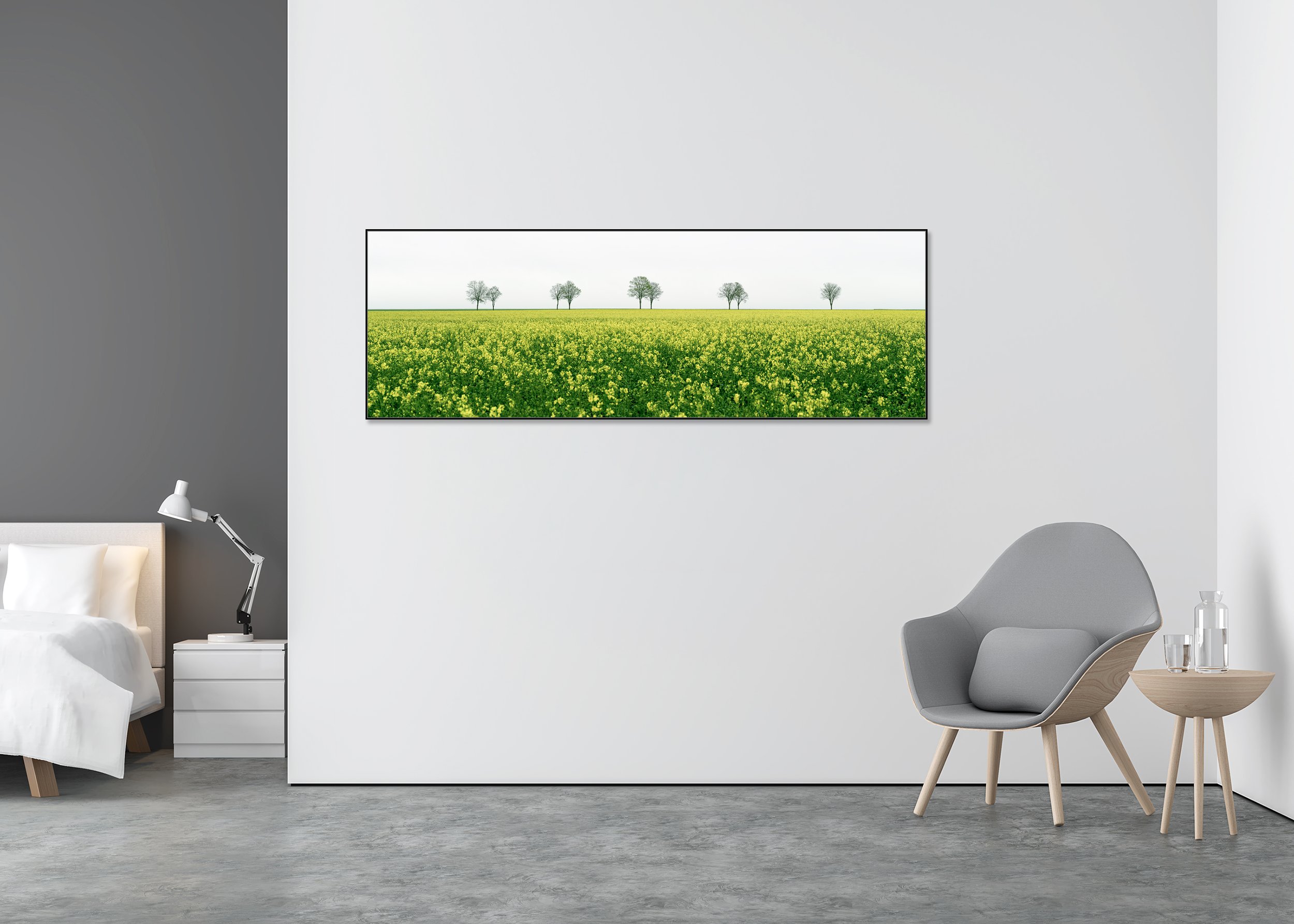 Row of Trees in Yellow Field Panorama displayed in a modern interior, mounted on aluminium Dibond in a black ArtBox frame by Gerald Berghammer.