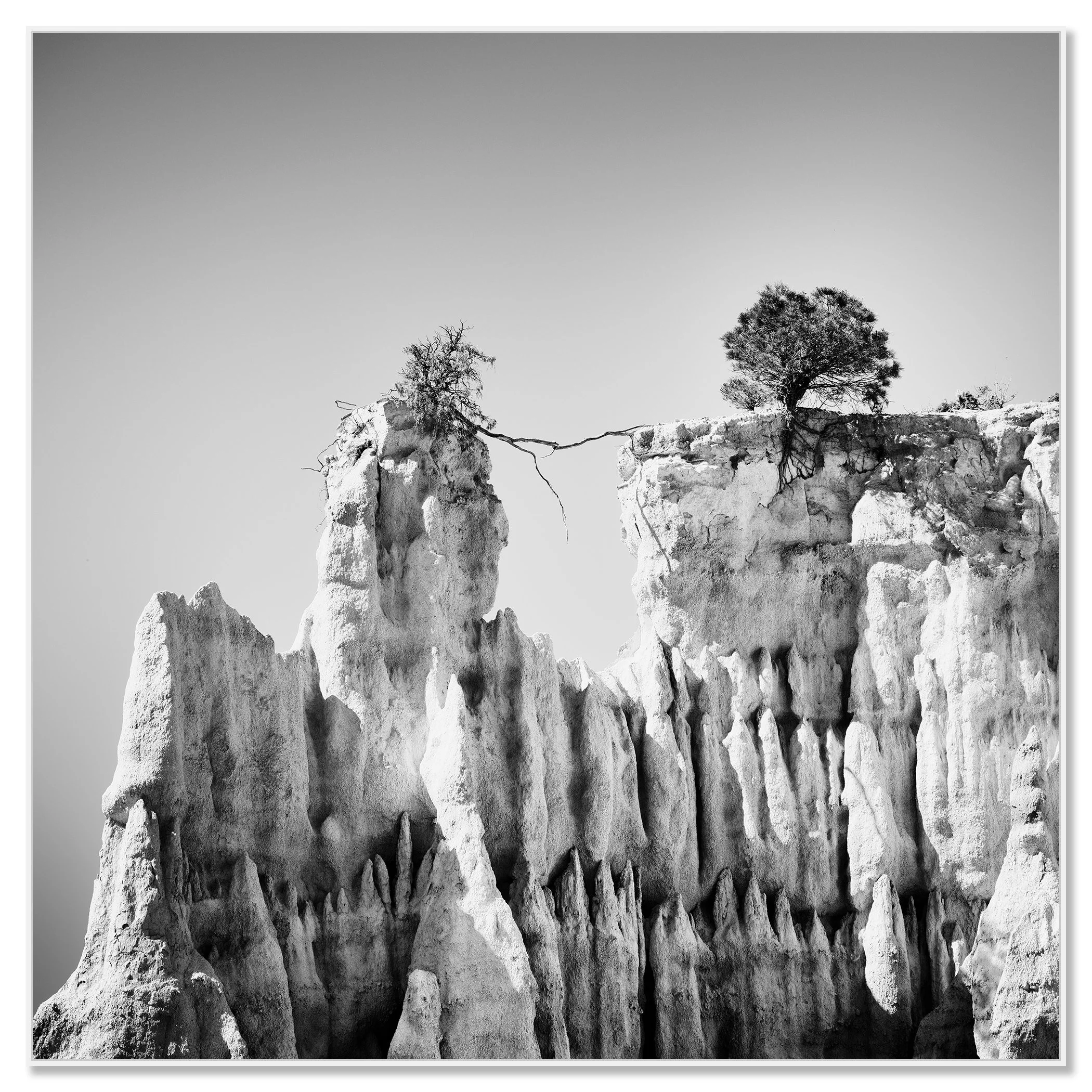 Black-and-white minimalist landscape photograph of two trees on a rocky cliff, one leaning over the edge – framed ArtBox white