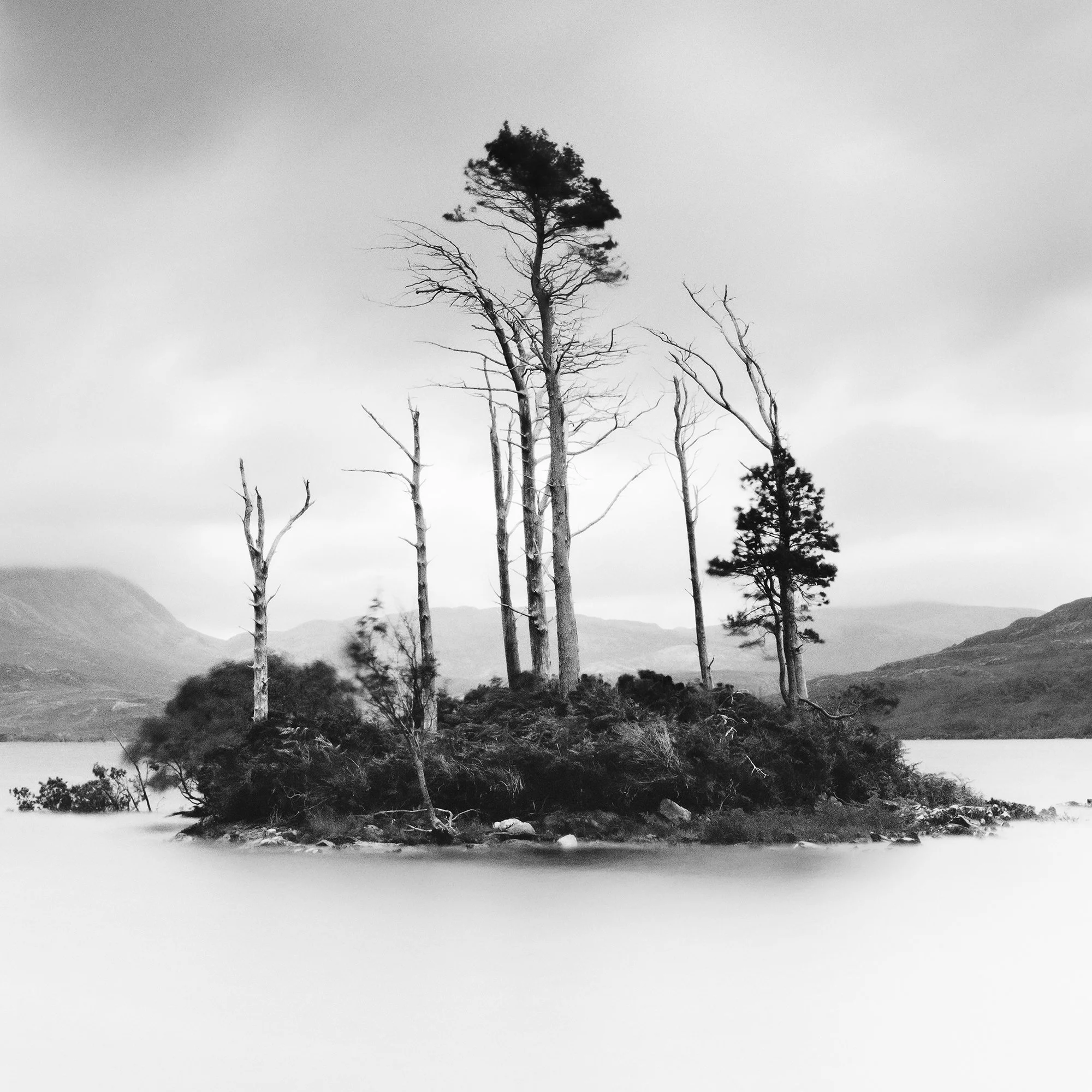 © 2012 Gerald Berghammer - Black and white waterscape photography. Small island with tall, thin trees surrounded by water and distant mountains under a cloudy sky. Print detail 3