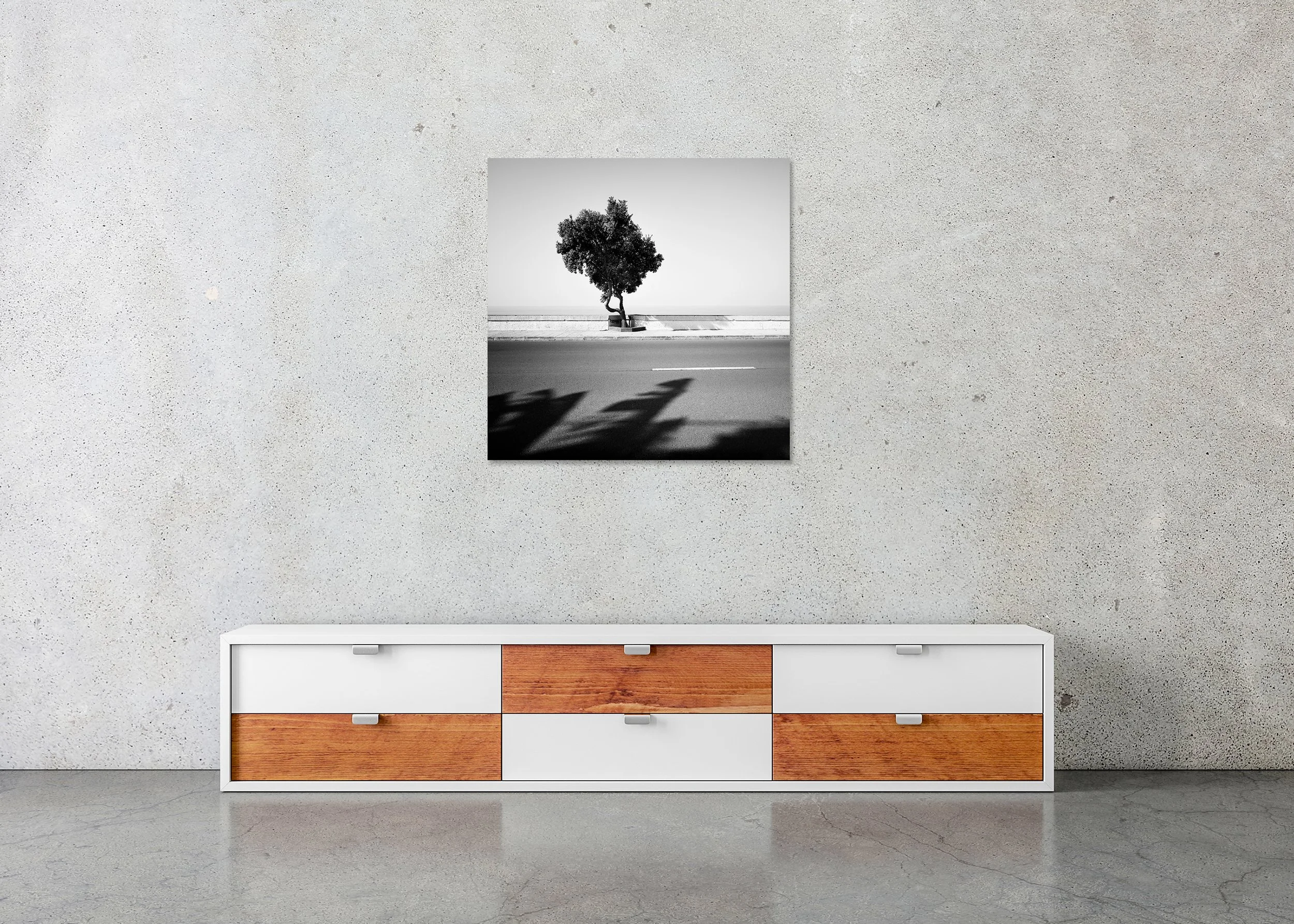 Minimal black and white seafront scene with a single tree, empty road and long shadows, photo print mounted to Dibond, frameless.