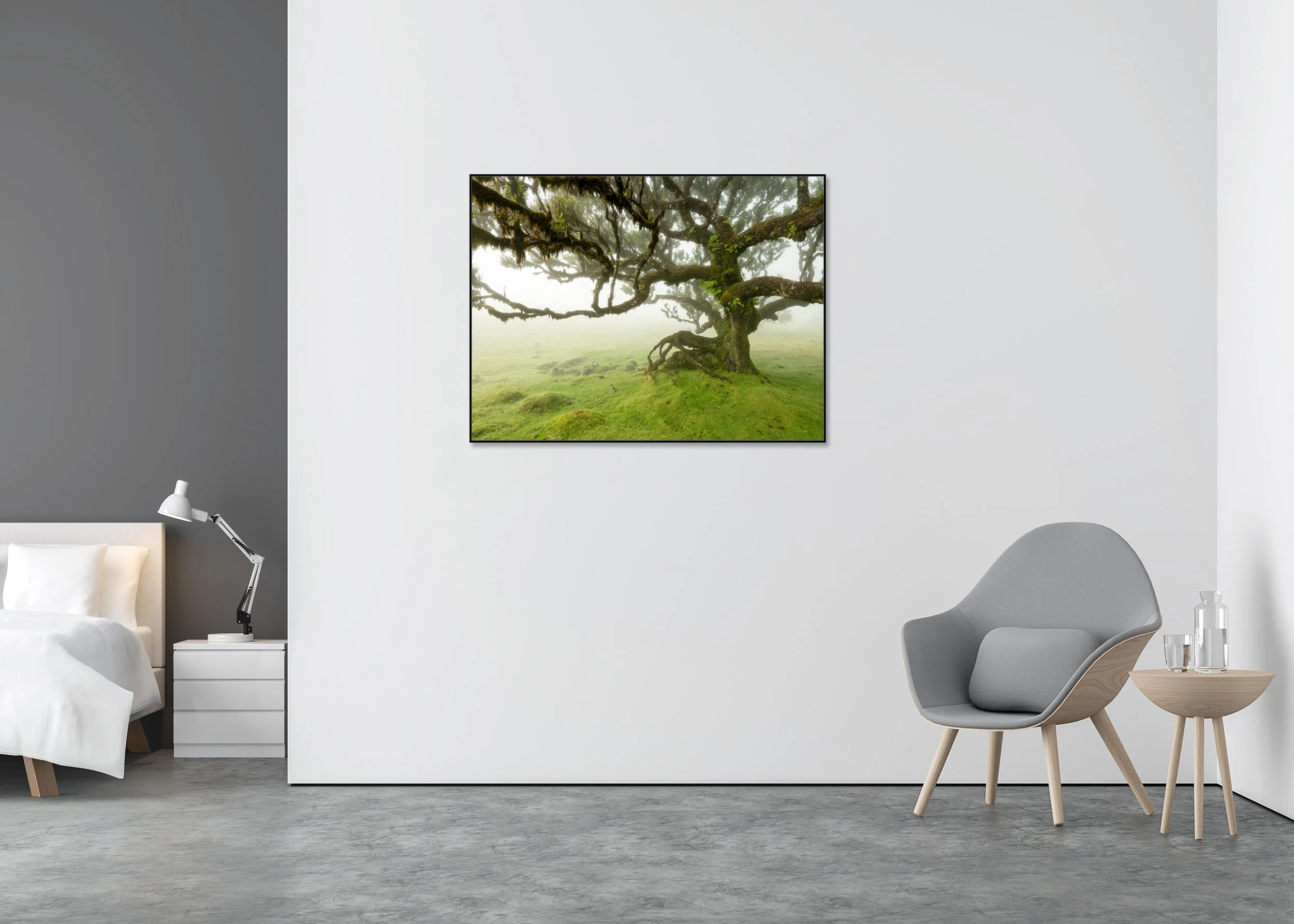 Chromaluxe framed image by Gerald Berghammer featuring an ancient moss-covered tree in a misty green meadow.