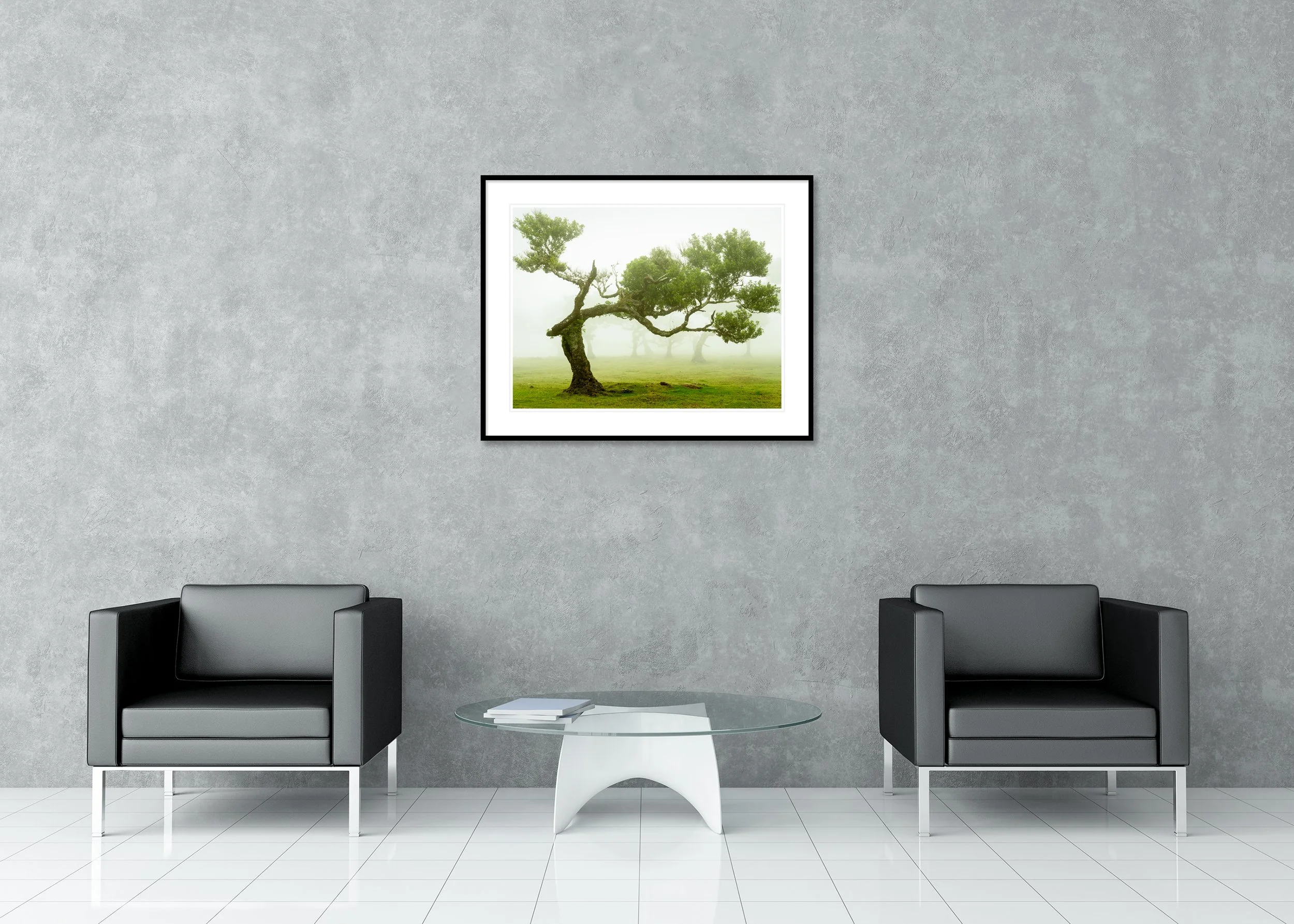 Ancient wind-shaped trees in a foggy green meadow in Madeira, peaceful landscape archival pigment print in a classic frame with a mount.