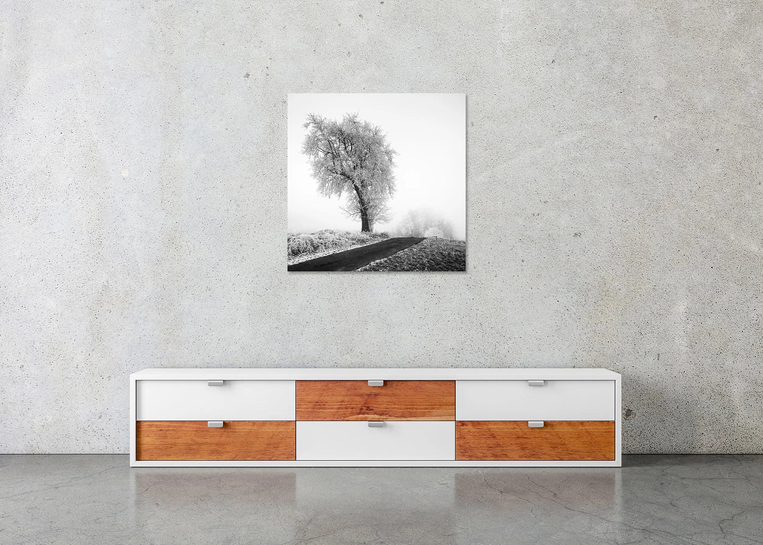 Minimalist black-and-white winter landscape with a frost-covered tree beside a quiet rural road in soft fog, photo print mounted to Dibond, frameless