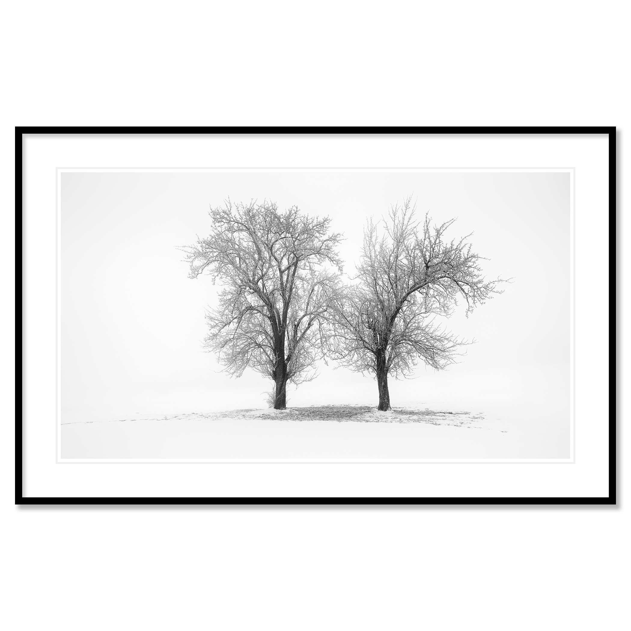 Still Winter Morning Study 1 by Gerald Berghammer in a black aluminium frame with a white museum-quality mount.