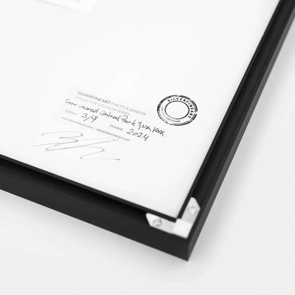 Close-up of Gerald Berghammer's signature, SILVERFINEART stamp, edition 3/9 and print date 2024 on the reverse of the artwork.