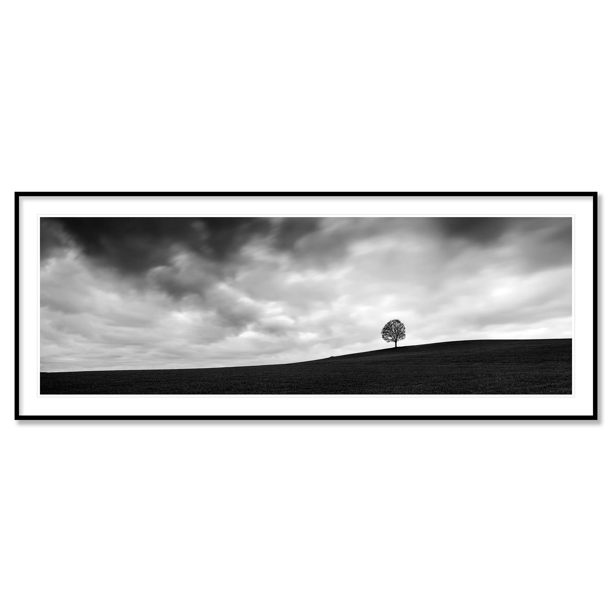 Gerald Berghammer - Black and white panorama landscape photography. A cloudy sky over a hill on a farmland with a single tree on the horizon. Classic framed black