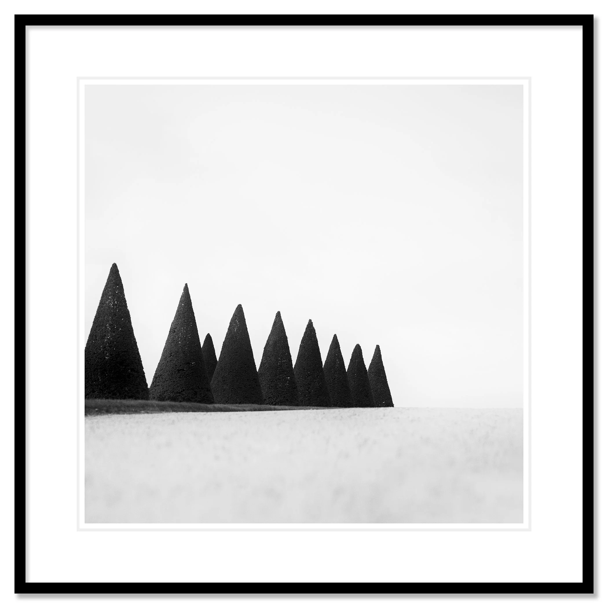 Hedges Study 3 – archival pigment print in a black aluminium frame with a white mount by Gerald Berghammer.