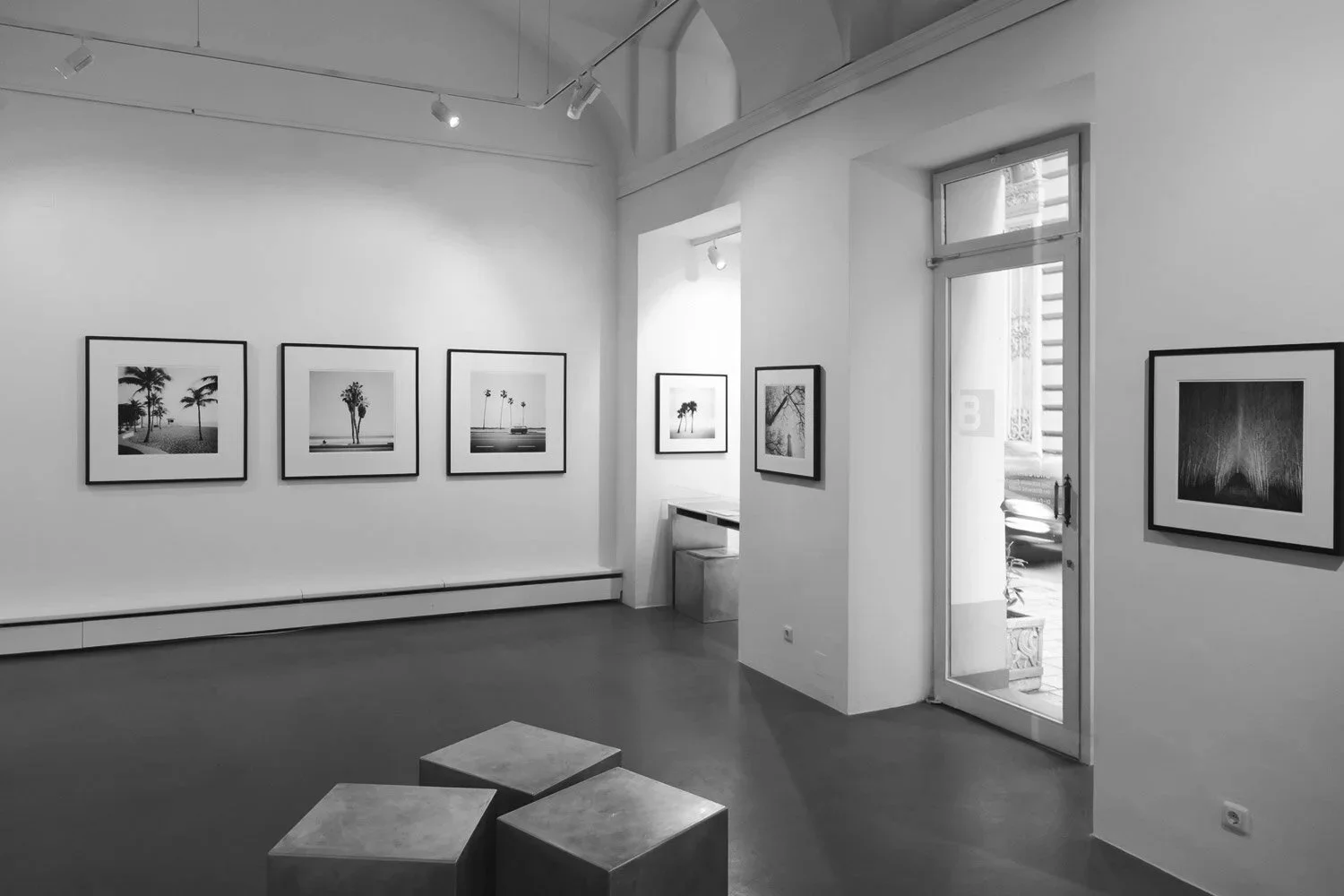 Exhibition interior at Bildraum 01 in Vienna, showing framed palm tree and woodland photographs by Gerald Berghammer during THE SELECTION 2017–2018.