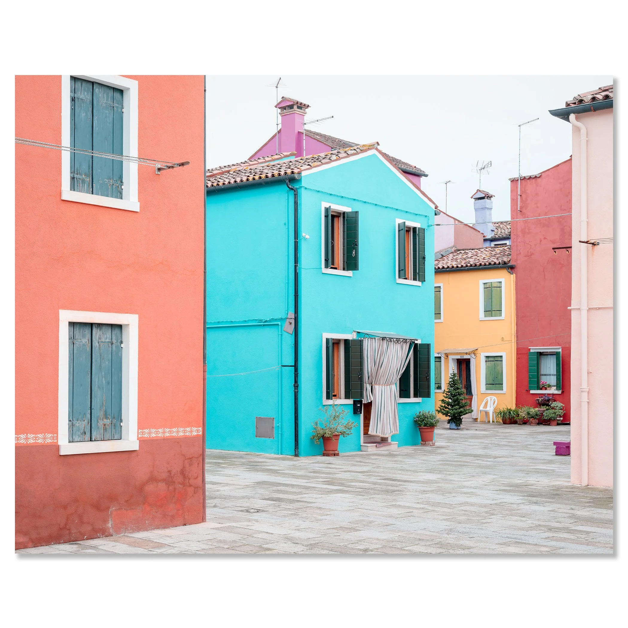 Vibrant houses with shutters and potted plants along a paved street in Burano, Venice – dibond frameless