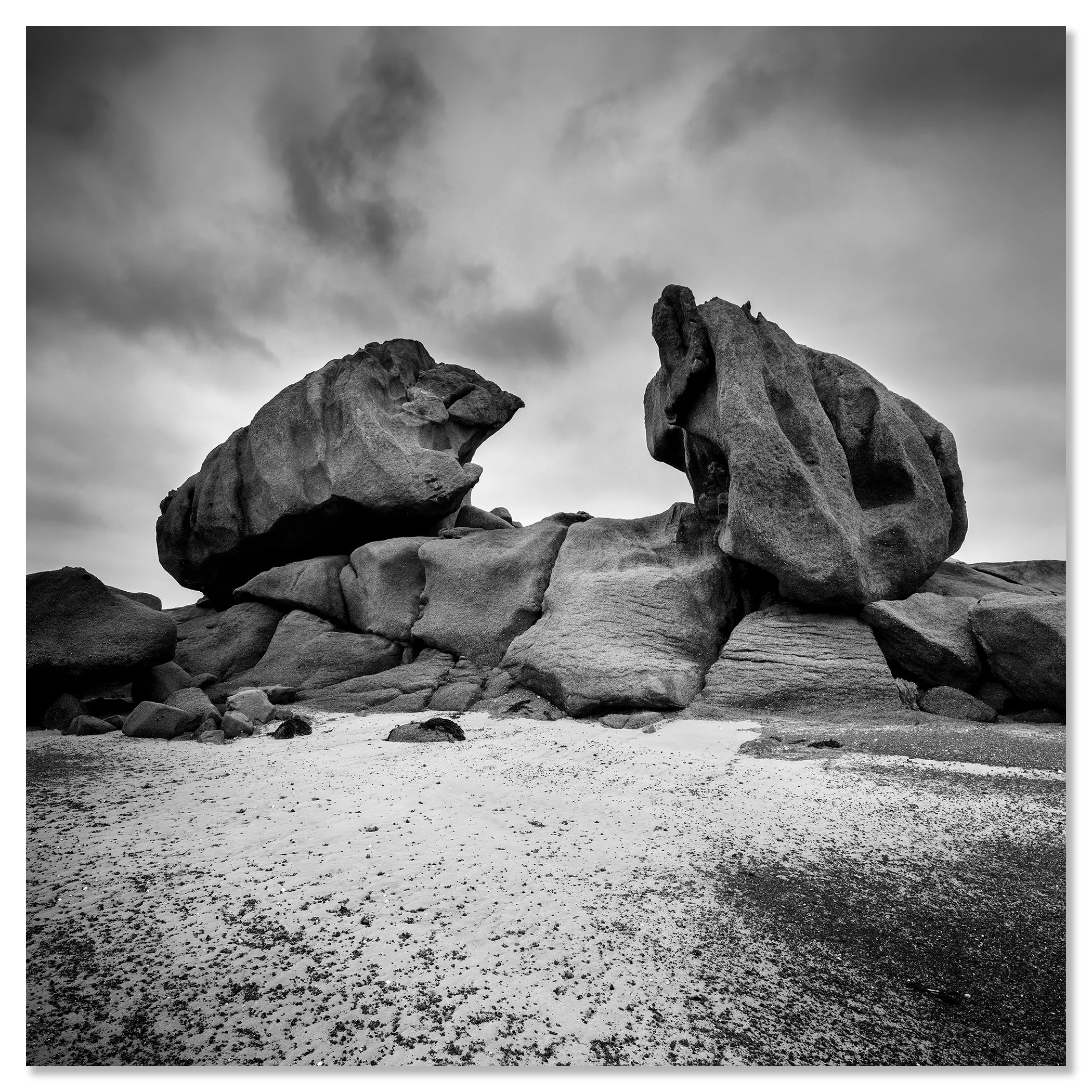 Crab Claws Rock Study 1 by Gerald Berghammer, black-and-white fine art photograph mounted frameless on aluminium Dibond.
