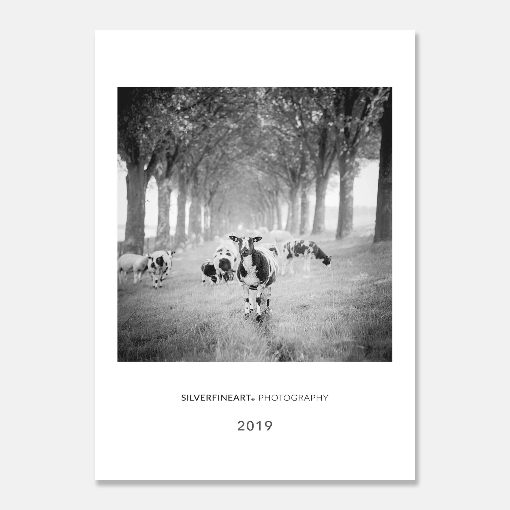 Browse photography calendars and books by Gerald Berghammer.