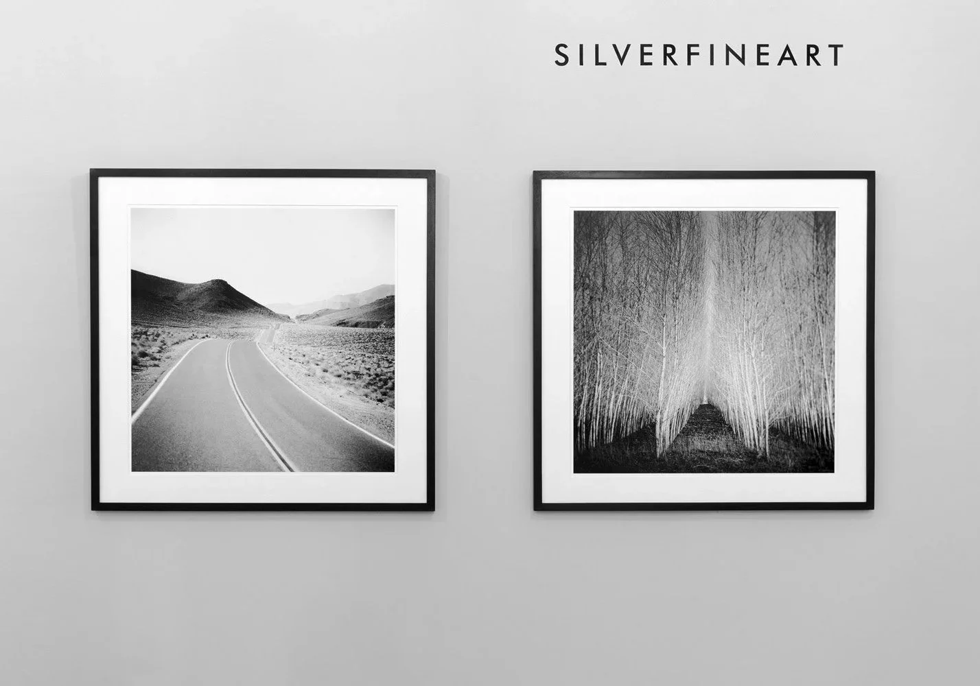 Interior of ART AFFAIR II at SILVERFINEART Gallery in Vienna, displaying black-and-white forest, coastal and solitary tree photographs by Gerald Berghammer.