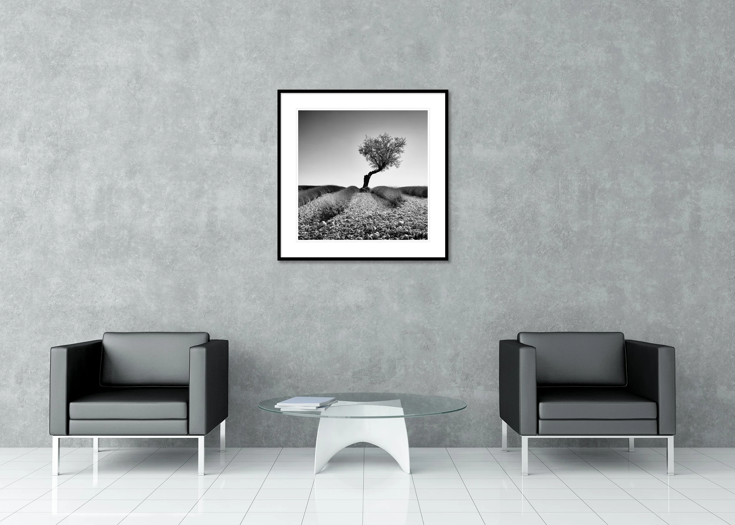 Tree in a Stony Lavender Field, Study 1 – framed archival pigment print with a white mount in a modern interior.
