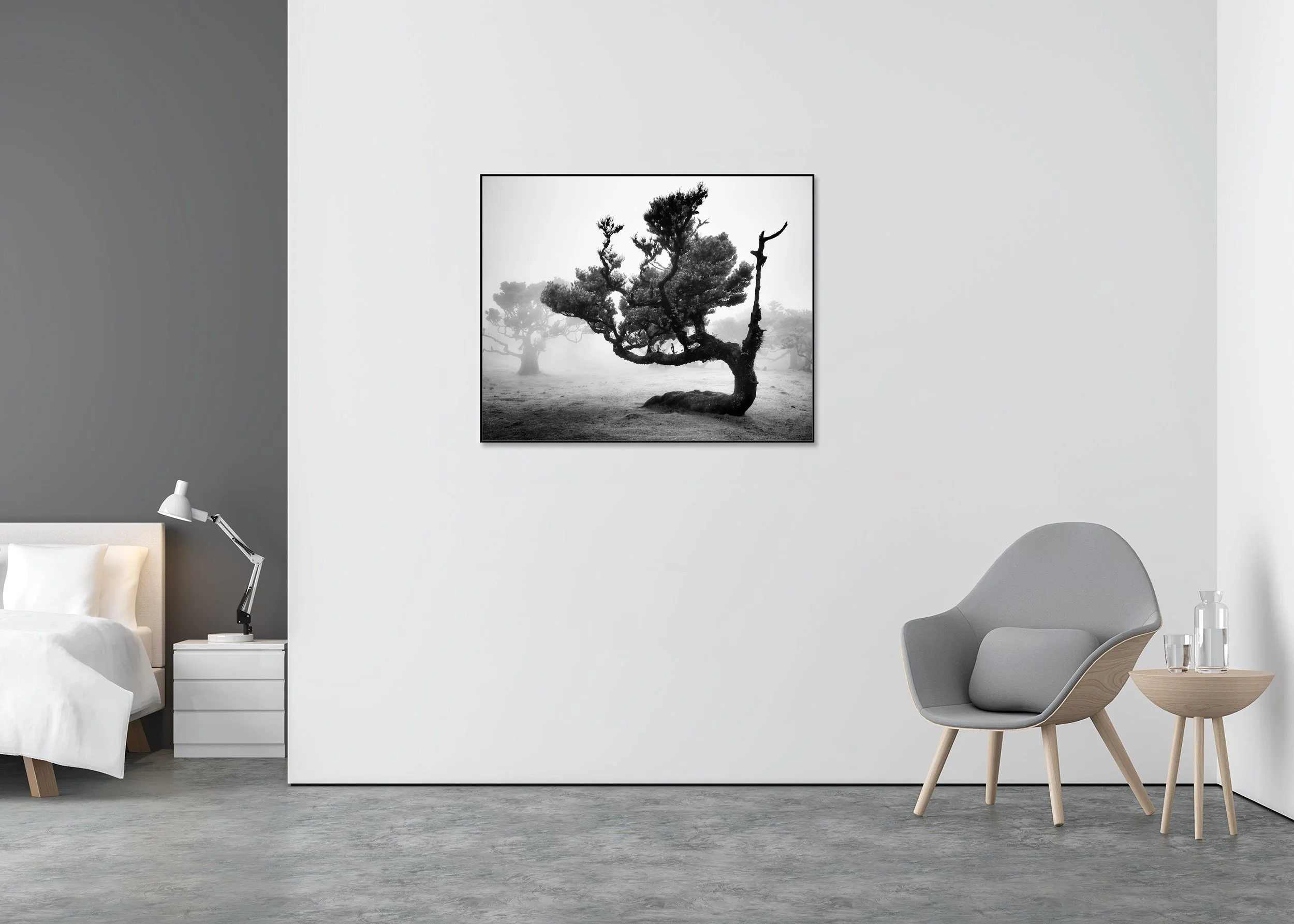 Ancient Laurisilva Forest, Study 12 – black-and-white photograph in an aluminium ArtBox displayed in a contemporary interior.