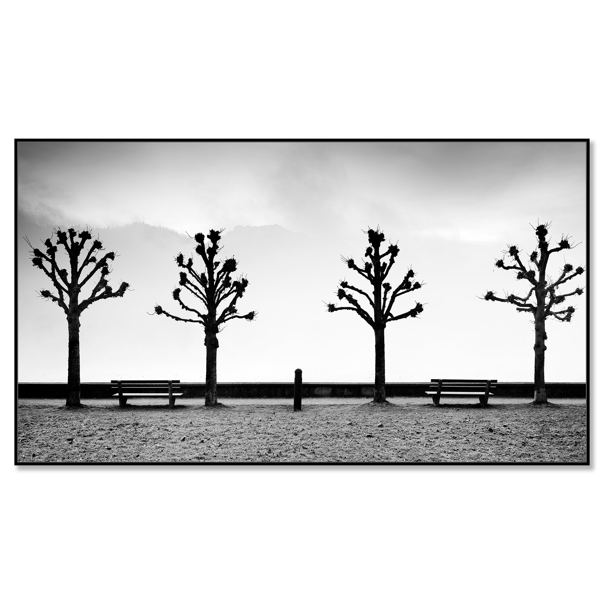 Minimal black and white scene of chestnut trees and benches on the shore of Lake Traunsee in Austria – framed ArtBox black